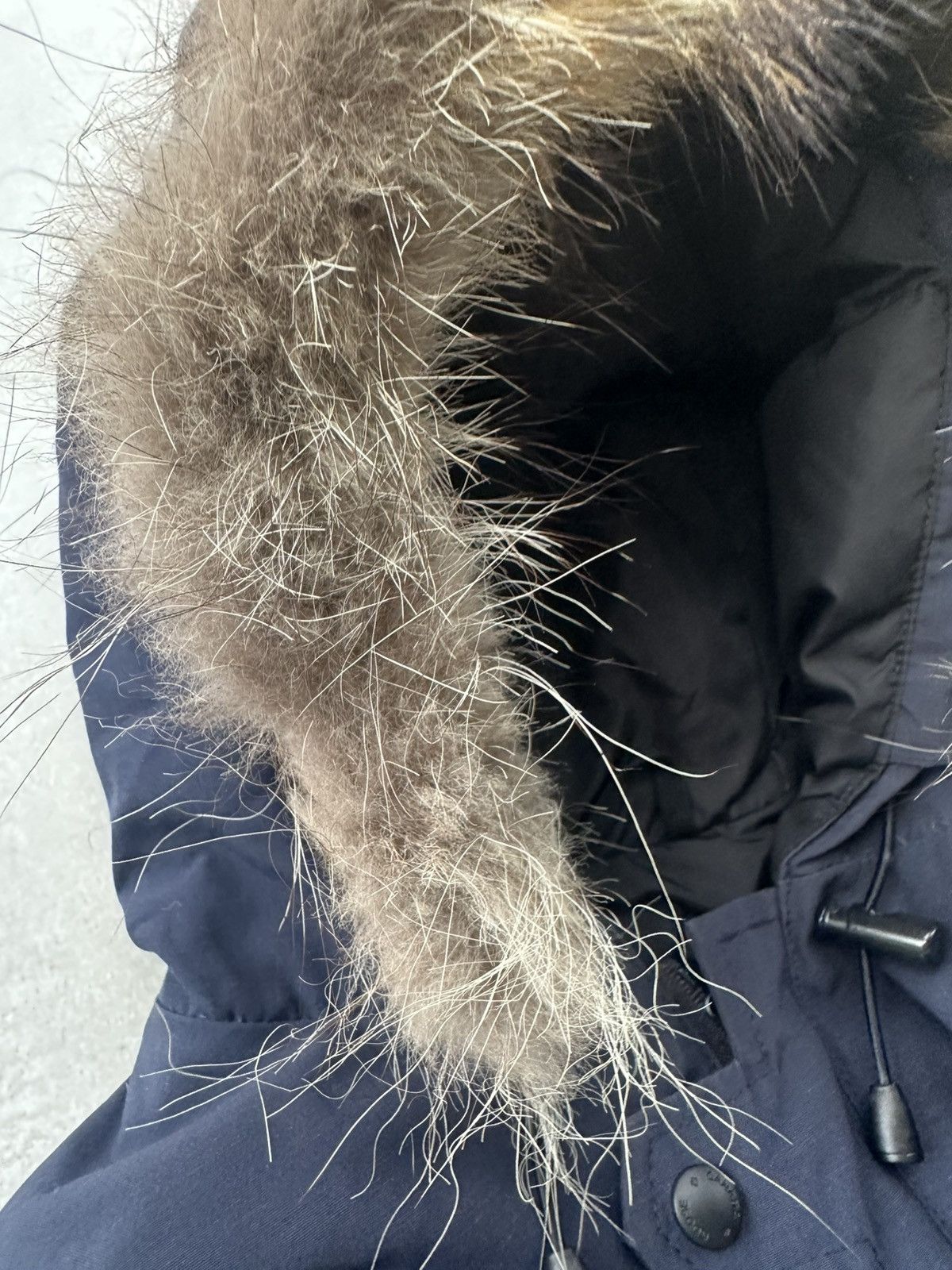 Canada Goose Canada Goose Fur Hood Winter Jacket Size US XS / EU 42 / 0 - 19 Thumbnail