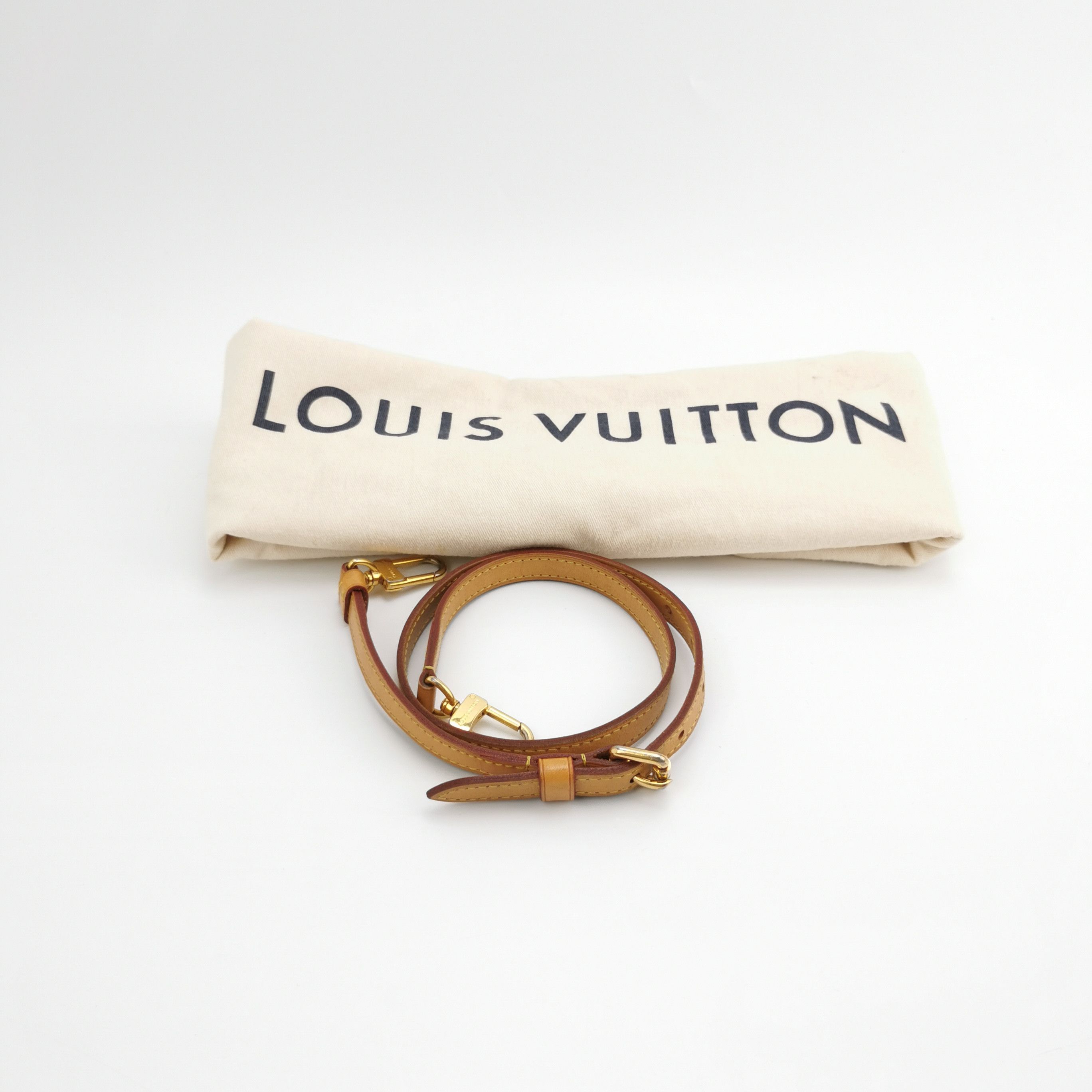 Louis Vuitton (LV) Brea doctor bag medium patent leather ve
