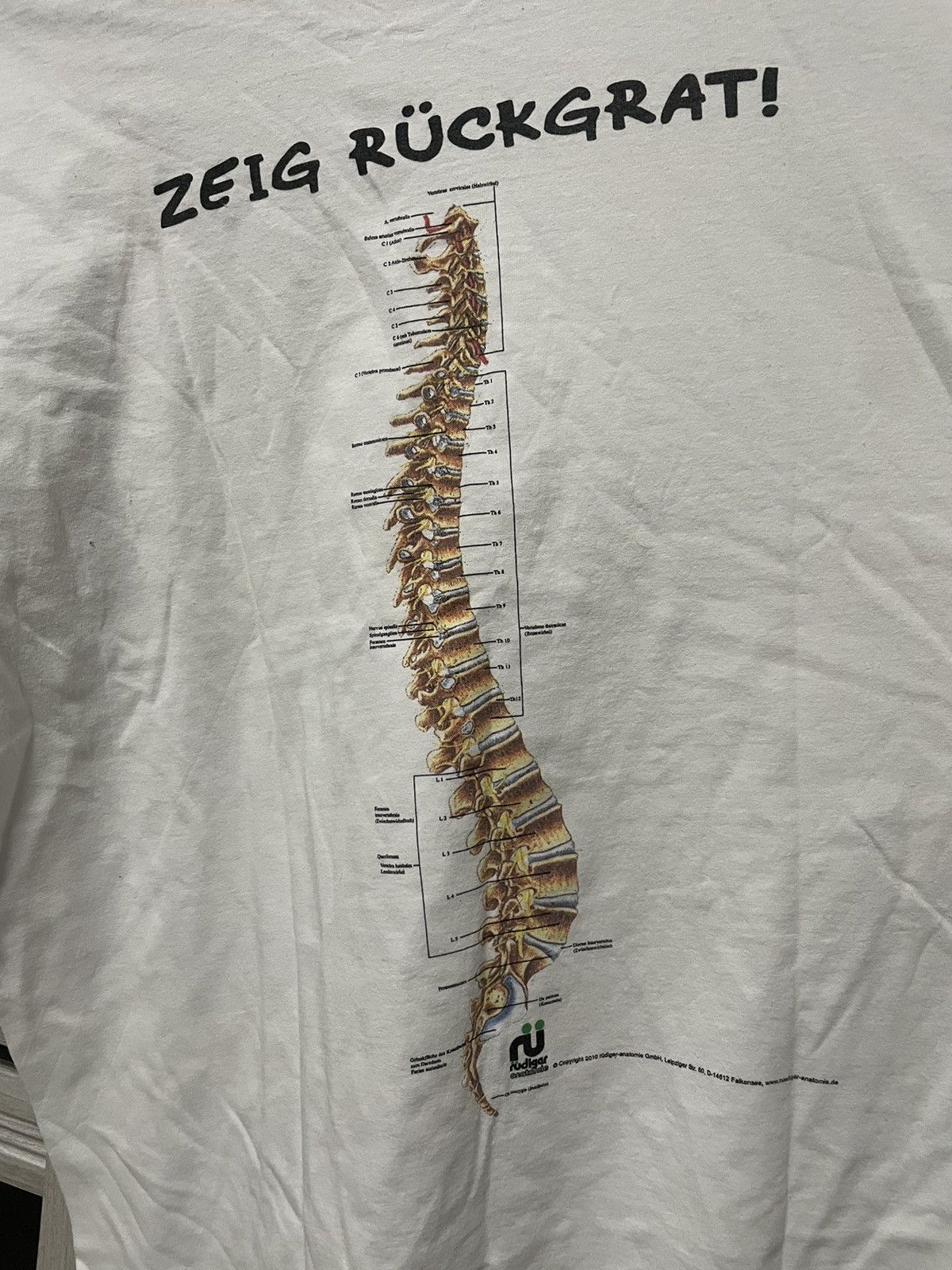 Arts & Science × Band Tees × Vintage Skeleton Anatomy Rudiger 2010 Spinal Collum Science T Shirt Size US L / EU 52-54 / 3 - 4 Thumbnail