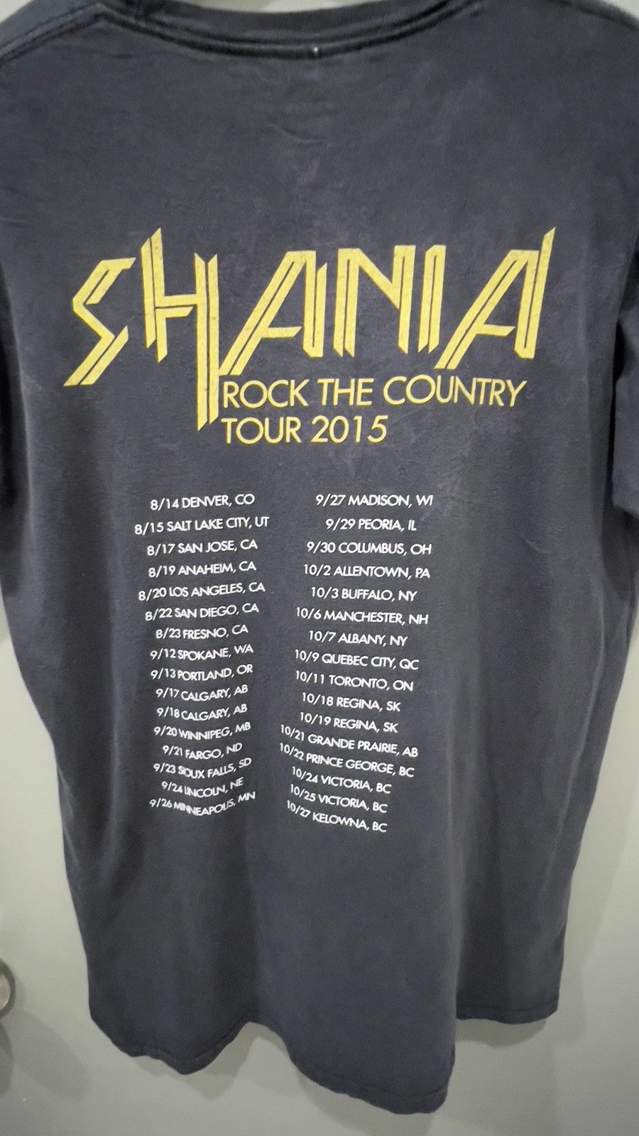 Band Tees Shania Rock This Country Tour 2015 Size US L / EU 52-54 / 3 - 3 Thumbnail