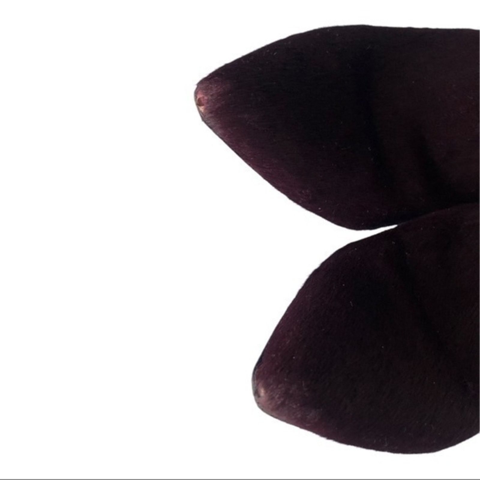 Alexander Wang Authentic Alexander Wang Red Fur Calf Ankle Bootie Size US 7 Size US 7 / IT 37 - 9 Thumbnail