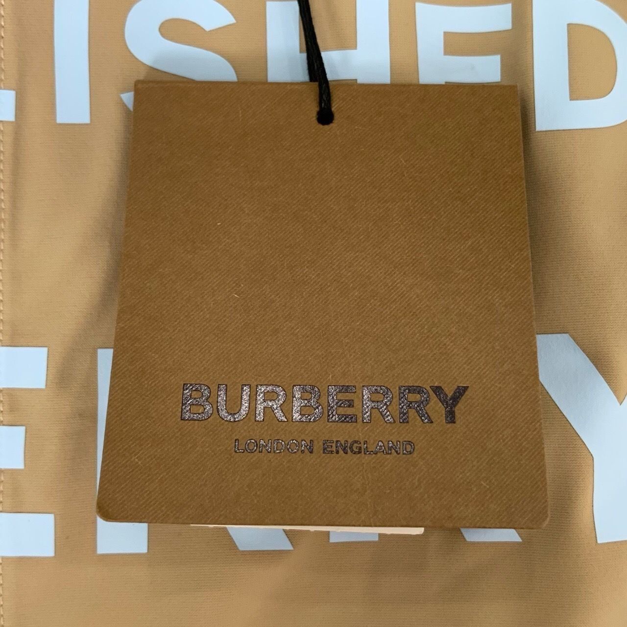 Burberry Burberry Logo Print Stretch Tan Nylon Short Skirt - Size 38 Size 38" / US 16 / IT 52 - 2 Thumbnail