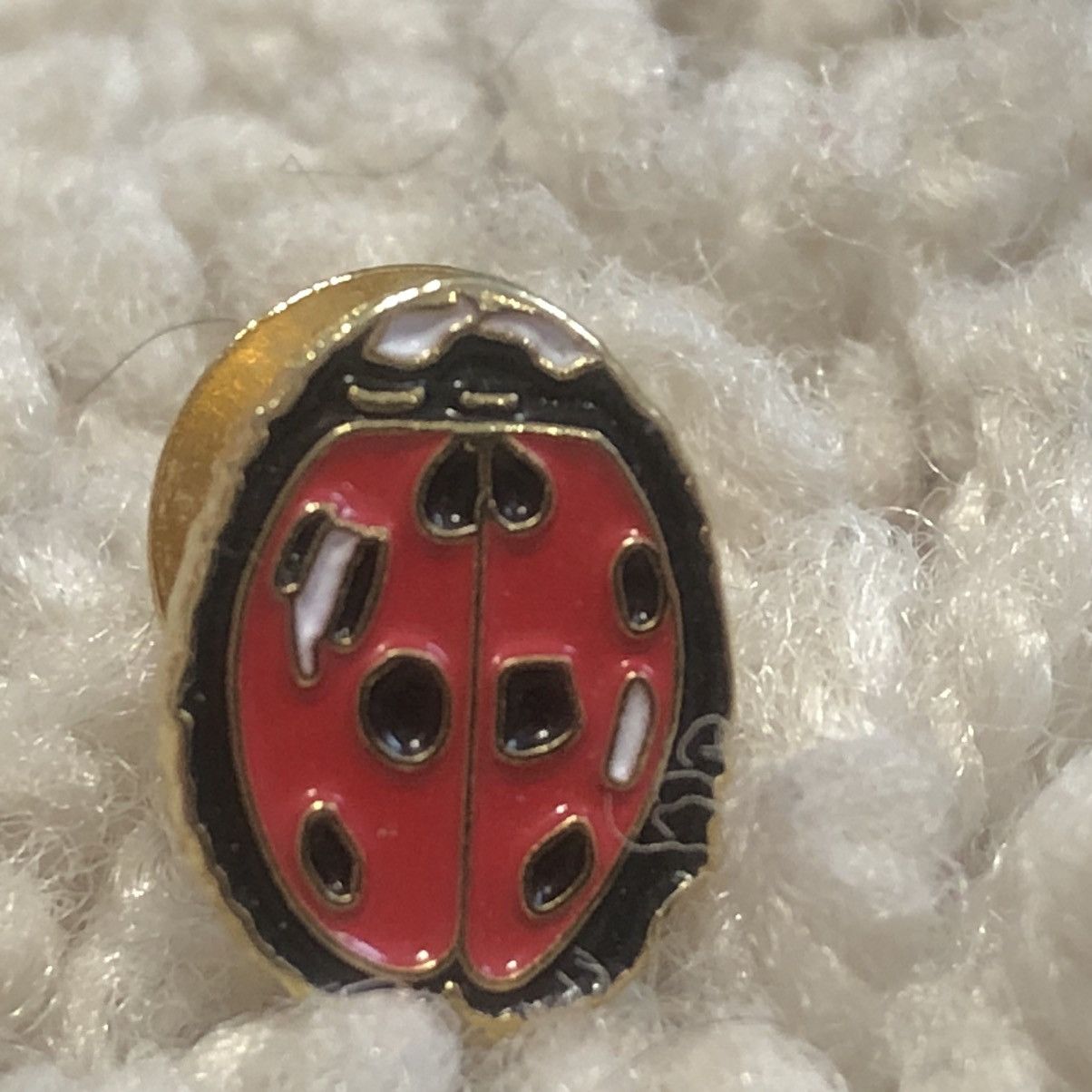 supreme Ladybug Pin DON'T ASK ME ピン　キムタク Supreme - Ladybug Pin - UG.SHAFT