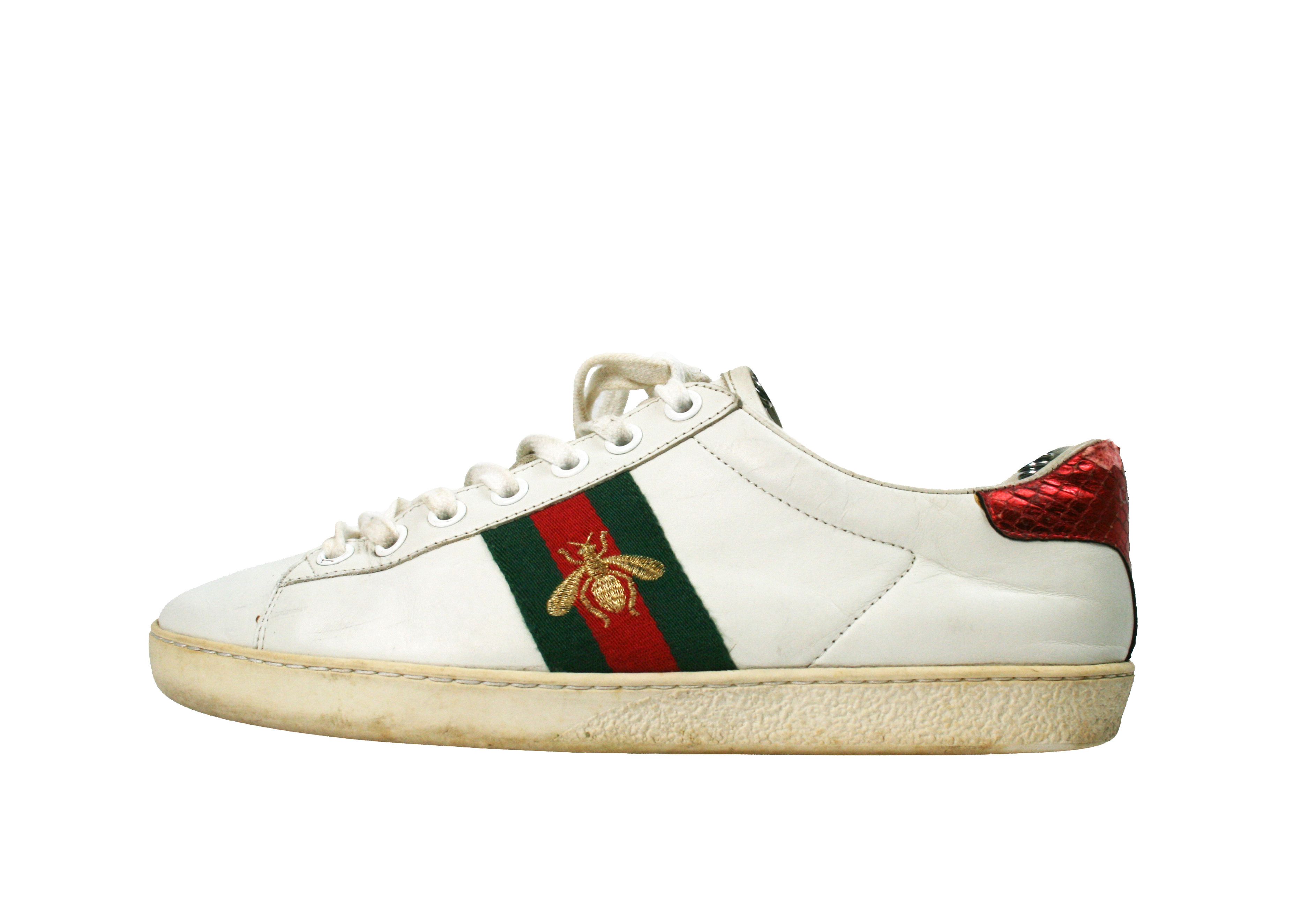 Ace Bee Embroidered Leather Low Sneakers