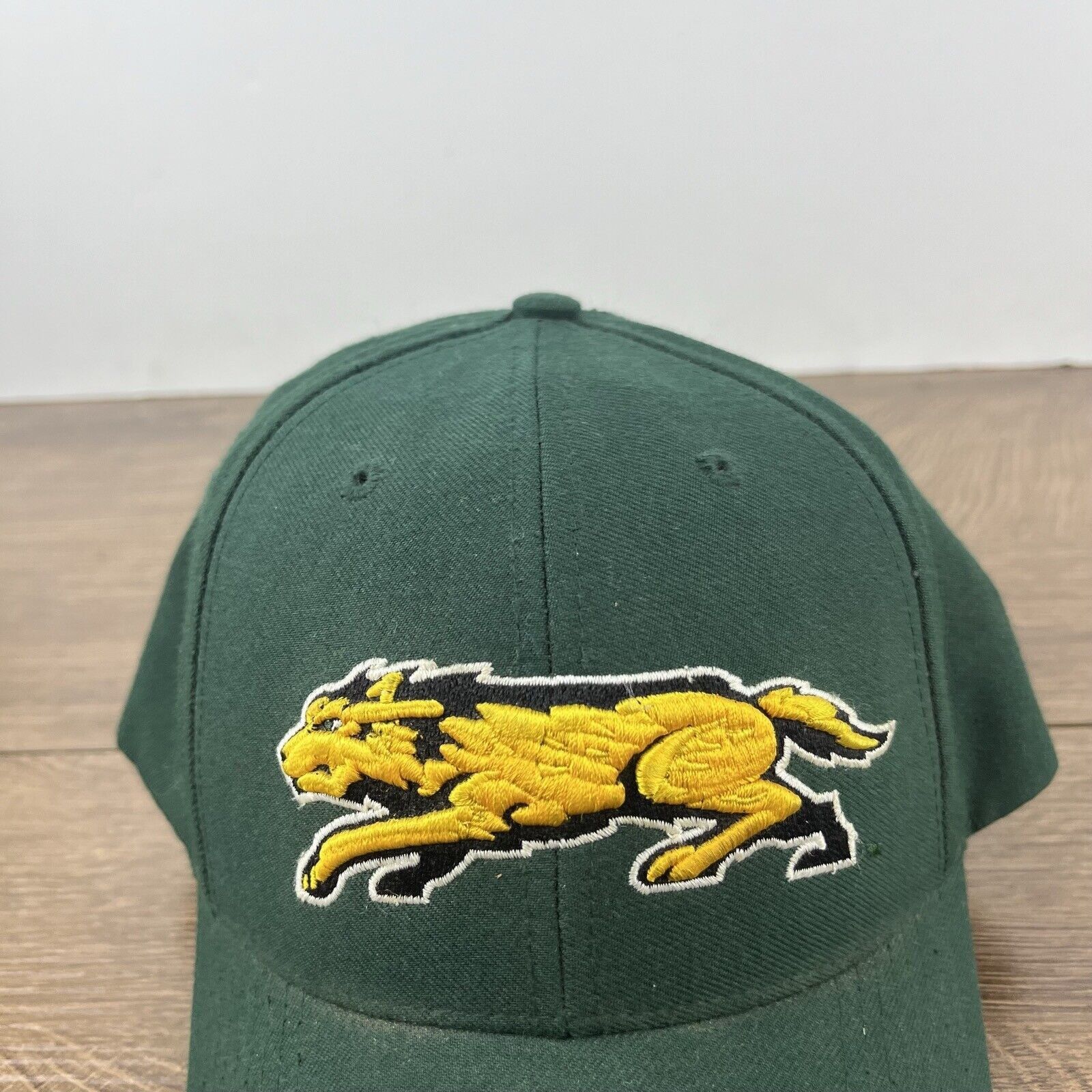 Other Wright State Raiders Green Hat NCAA Green Hat Adjustable Hat Size ONE SIZE - 8 Thumbnail
