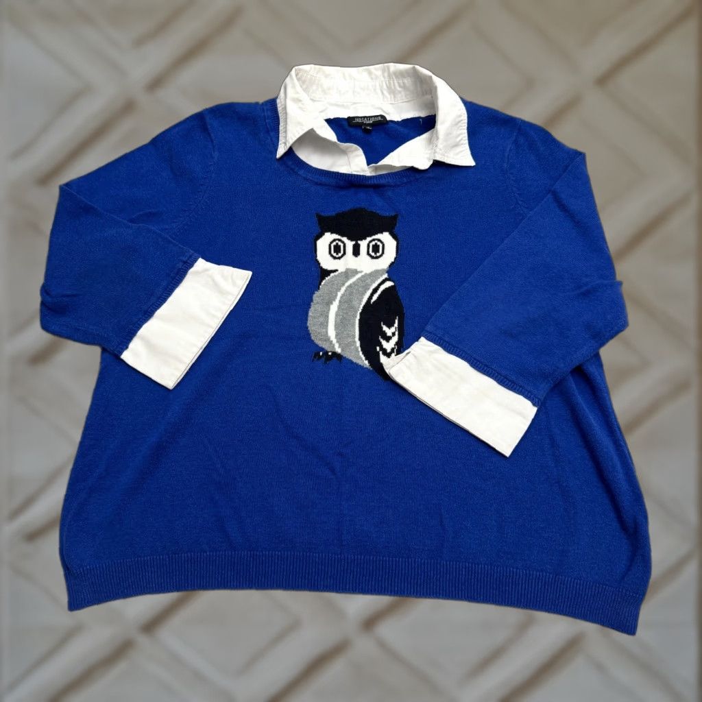 Vintage Notations Owl Pullover Shirt Womens Plus Size 1X Blue Knit Size XL / US 12-14 / IT 48-50 - 1 Thumbnail