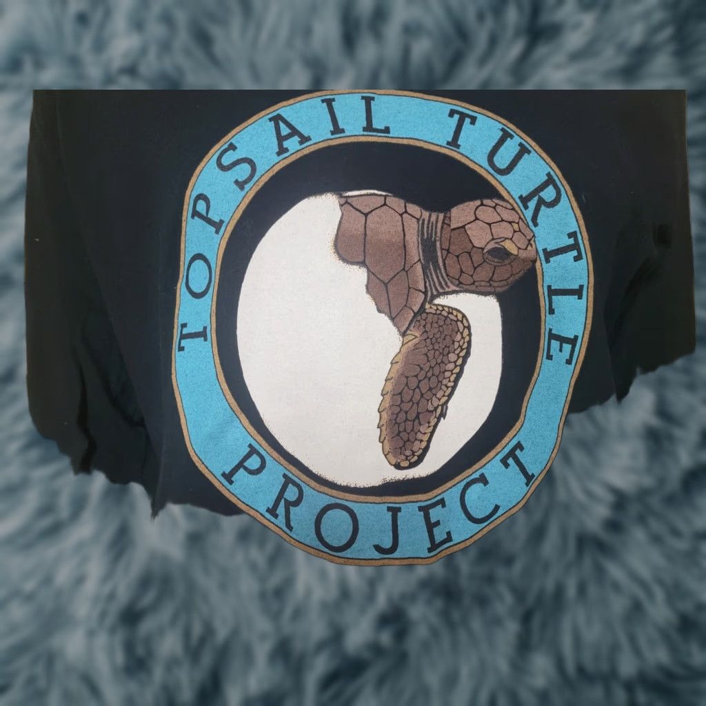 Gildan Womens Topsail Turtle Project Long Sleeve T Shirt 2XL Surf City NC Nature Black Gildan 100% Cotton T-Shirt Womens Casual Crew Neck Size XXL / US 16-18 / IT 52-54 - 1 Thumbnail