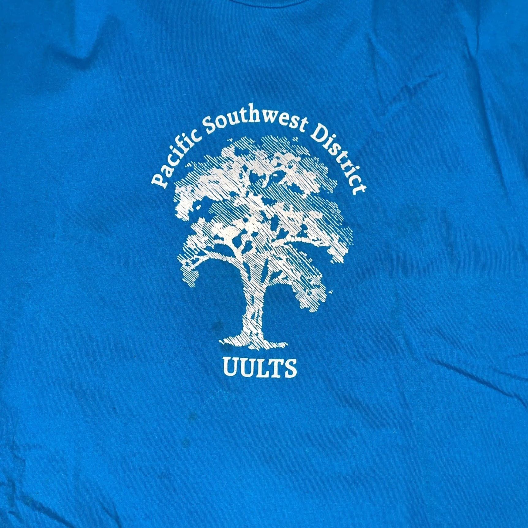 Hanes VINTAGE Hanes Beefy Tee Graphic T-Shirt Men Large Blue USA 90s Stitch Mens Size US L / EU 52-54 / 3 - 4 Thumbnail