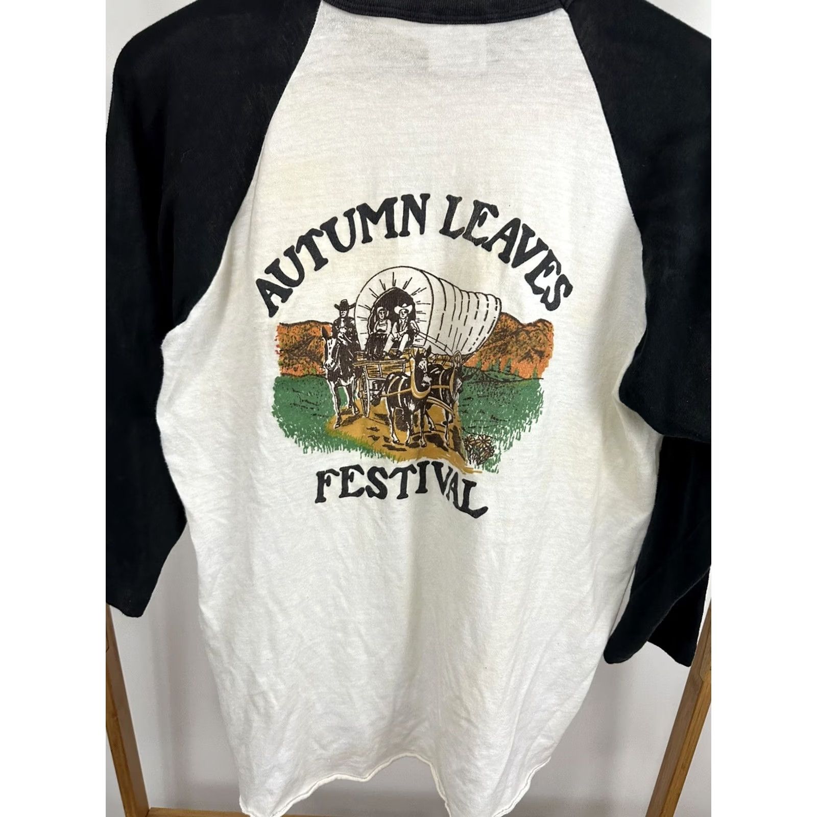 Hanes VTG 80s Autumn Leaves Festival MT Airy NC Raglan Paper Thin T-Shirt Size L Size US L / EU 52-54 / 3 - 6 Thumbnail