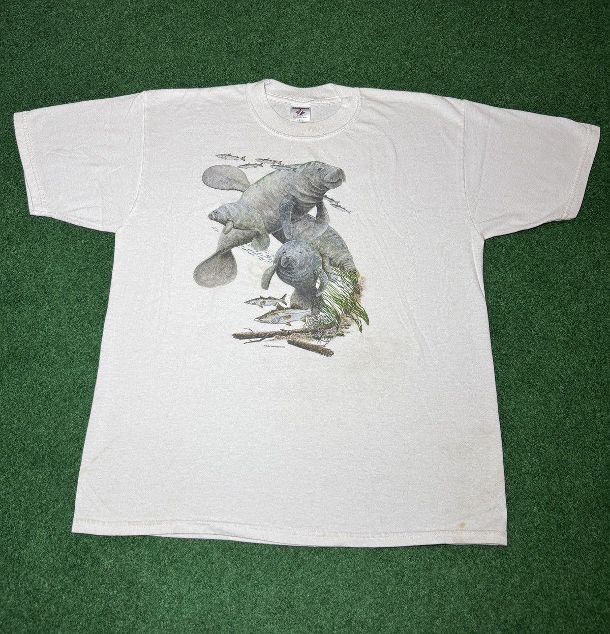 Vintage Vintage Y2K Manatee Nature Marine Life Lrg Retro T Shirt Size US L / EU 52-54 / 3 - 1 Thumbnail