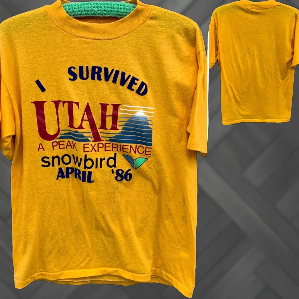 Vintage vintage I survived Utah peak experience snowbird April 86 graphic tee t-shirt L Miller Mens Crew Neck Short Sleeve Yellow 80s nature USA Size US L / EU 52-54 / 3 - 1 Thumbnail
