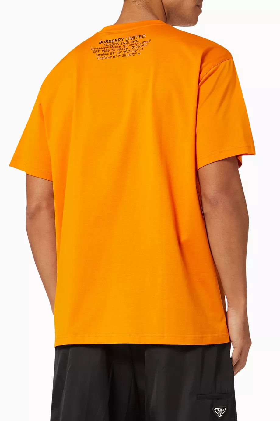 Burberry o1y0426 Crewneck T-Shirt in Orange Size US M / EU 48-50 / 2 - 3 Thumbnail