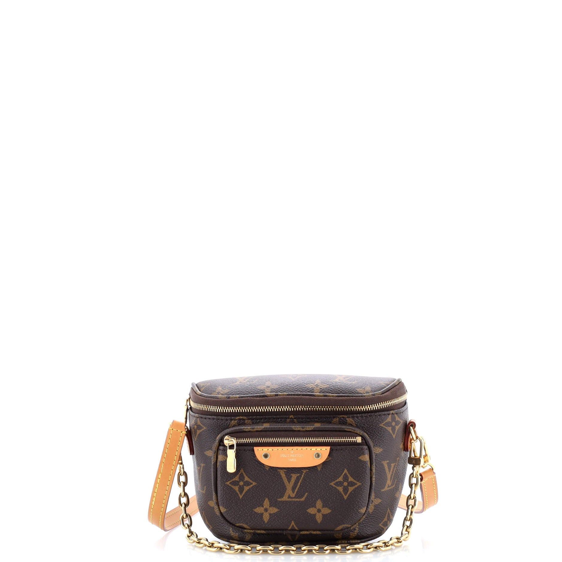 Louis Vuitton Bum Bag Size ONE SIZE - 1 Thumbnail