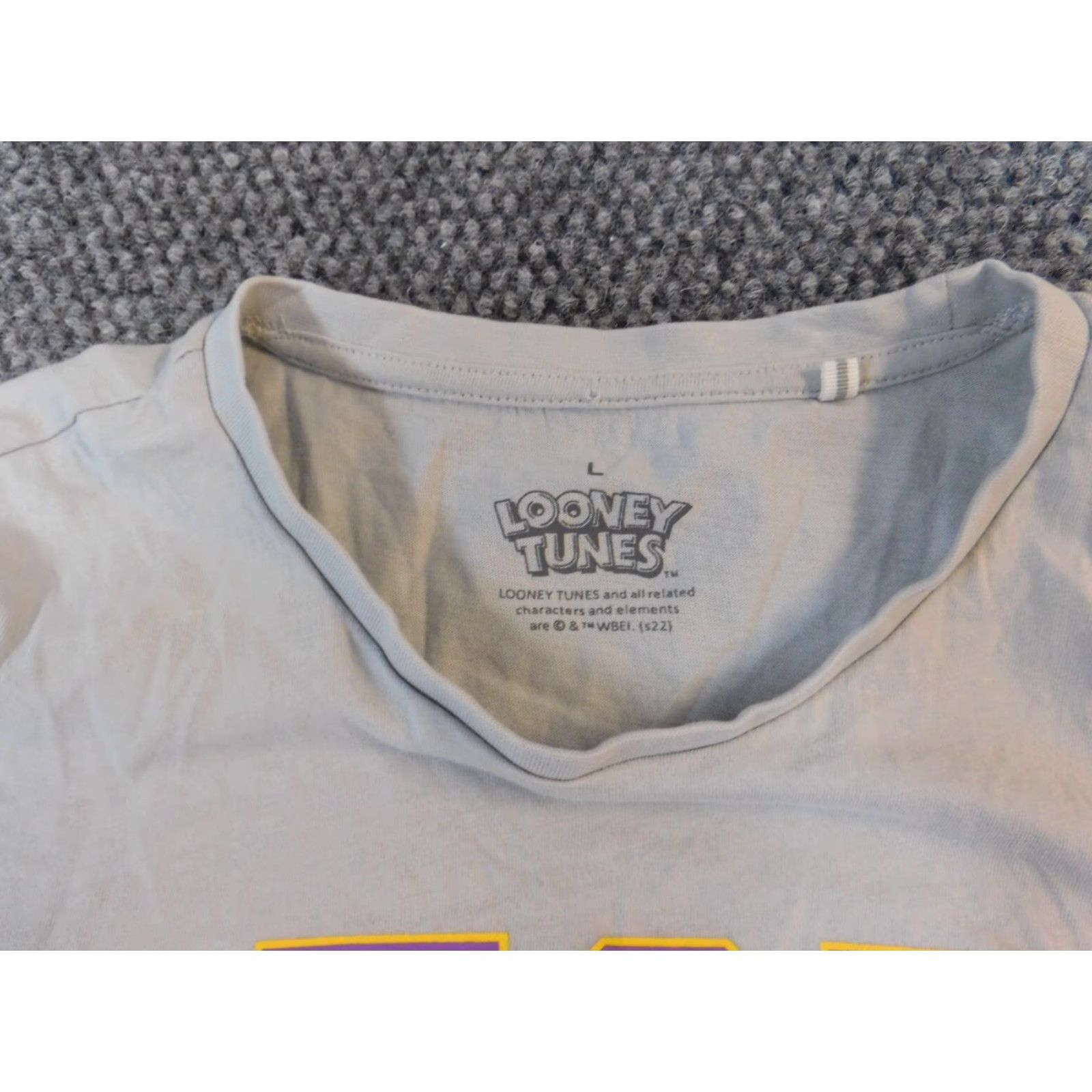 Vintage Looney Tunes Mens T-Shirt Large Gray Dog 90s Crew Neck Short Sleeve Logo Cotton Blend Polyester Size US L / EU 52-54 / 3 - 5 Thumbnail