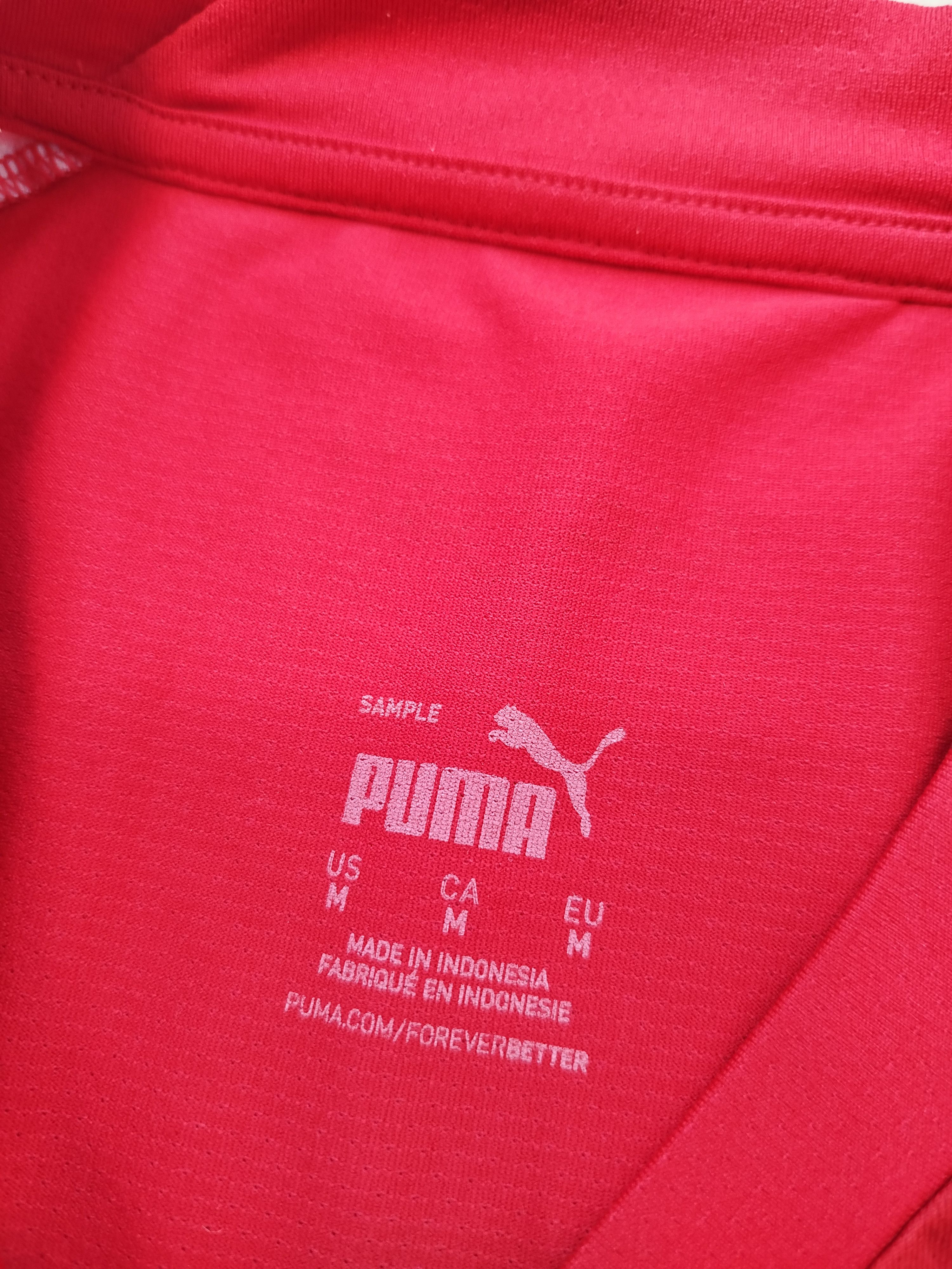 Puma Puma Egypt 2022 Soccer Jersey Size M Mens Size US M / EU 48-50 / 2 - 5 Thumbnail