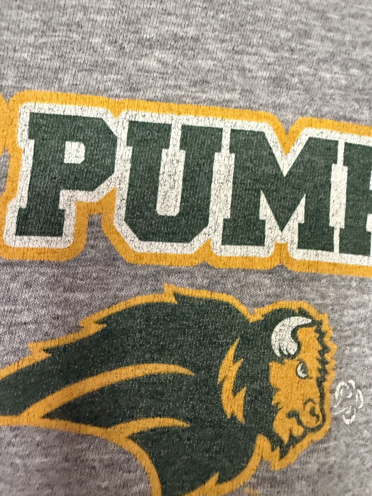 Vintage Vintage Y2K North Dakota State University Graphic Tee Size US M / EU 48-50 / 2 - 4 Thumbnail