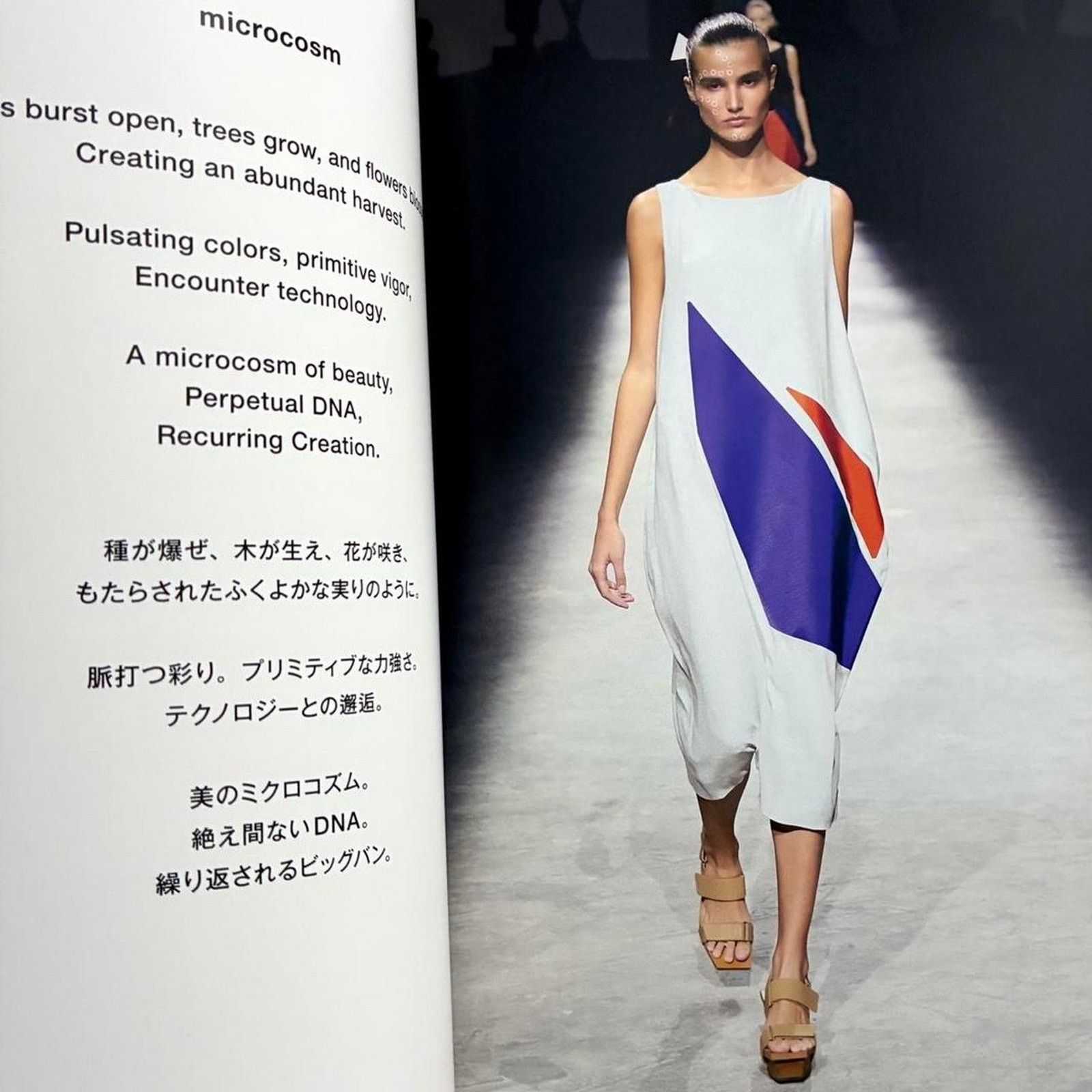 Issey Miyake × Japanese Brand × Pleats Please Issey Miyake Issey Miyake spring summer 2017 look book catalog Size ONE SIZE - 2 Thumbnail
