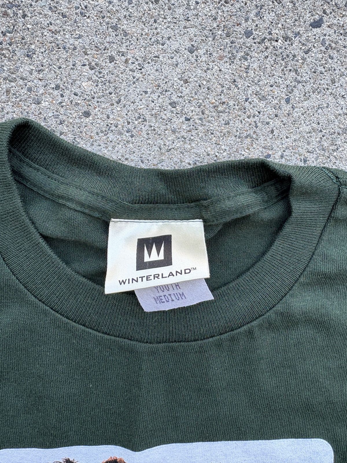 Tultex Vintage 2000 Winterland “NSYNC” Band Green L/S Shirt Size M Size US M / EU 48-50 / 2 - 3 Thumbnail