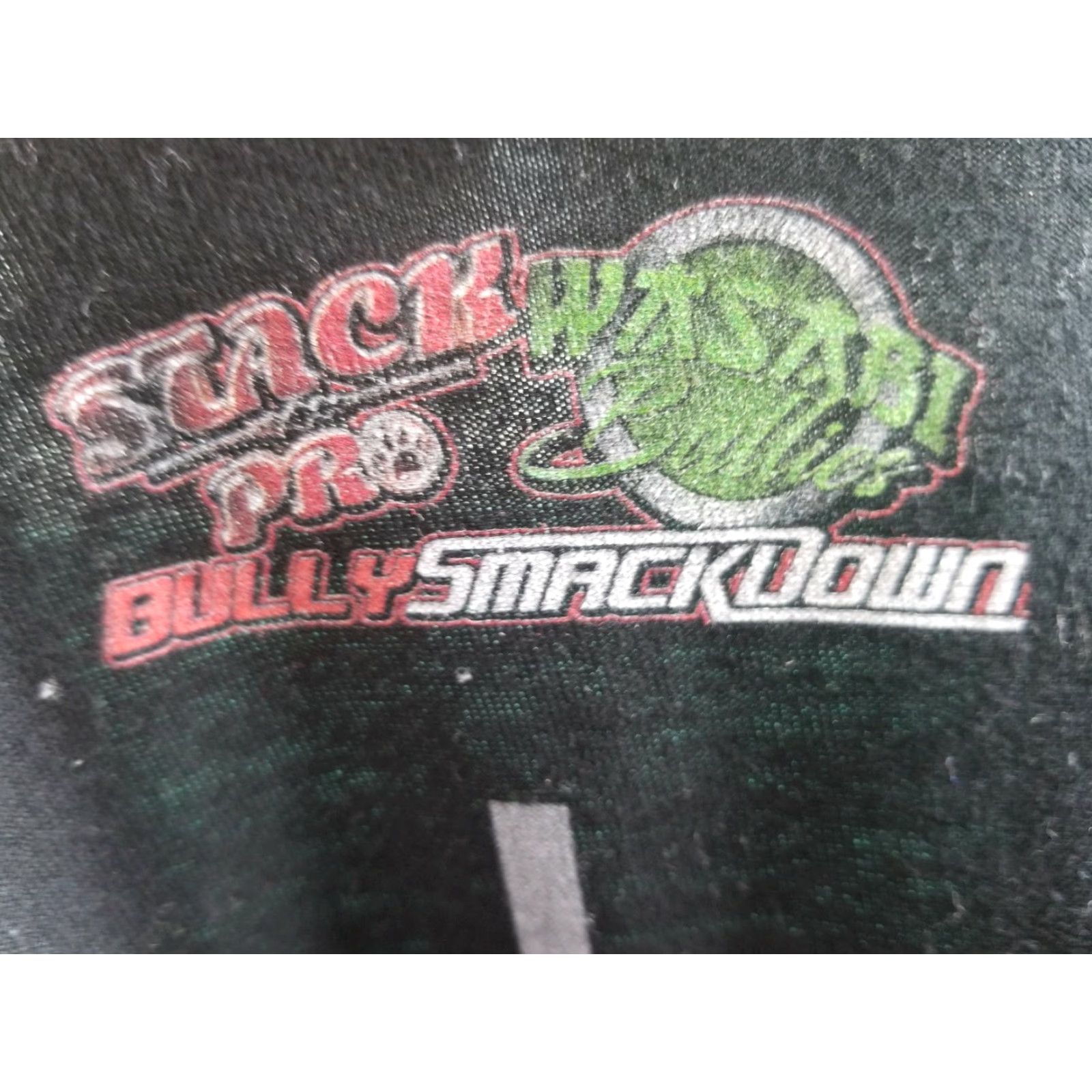 Vintage Bully Smackdown Pit Bull Dog Show Graphic T-Shirt Men Large Black Animal USA 2000s Vintage Size US L / EU 52-54 / 3 - 4 Thumbnail