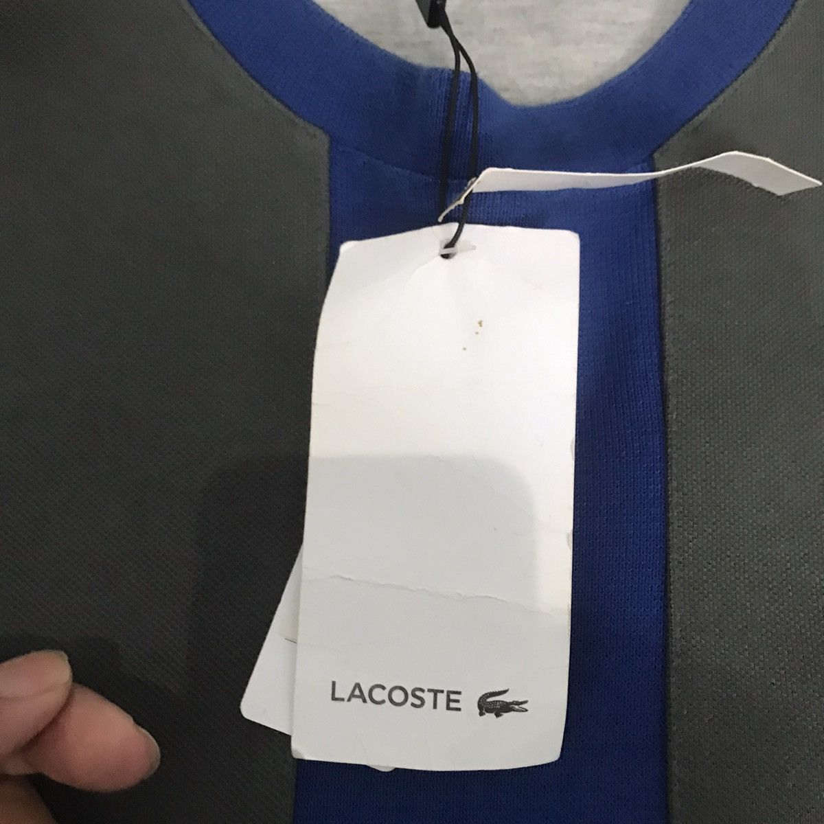 Designer × Lacoste Lacoste Cambouis / Algue paquebot - R Sh7604 Crewneck Jumper Size US M / EU 48-50 / 2 - 8 Thumbnail