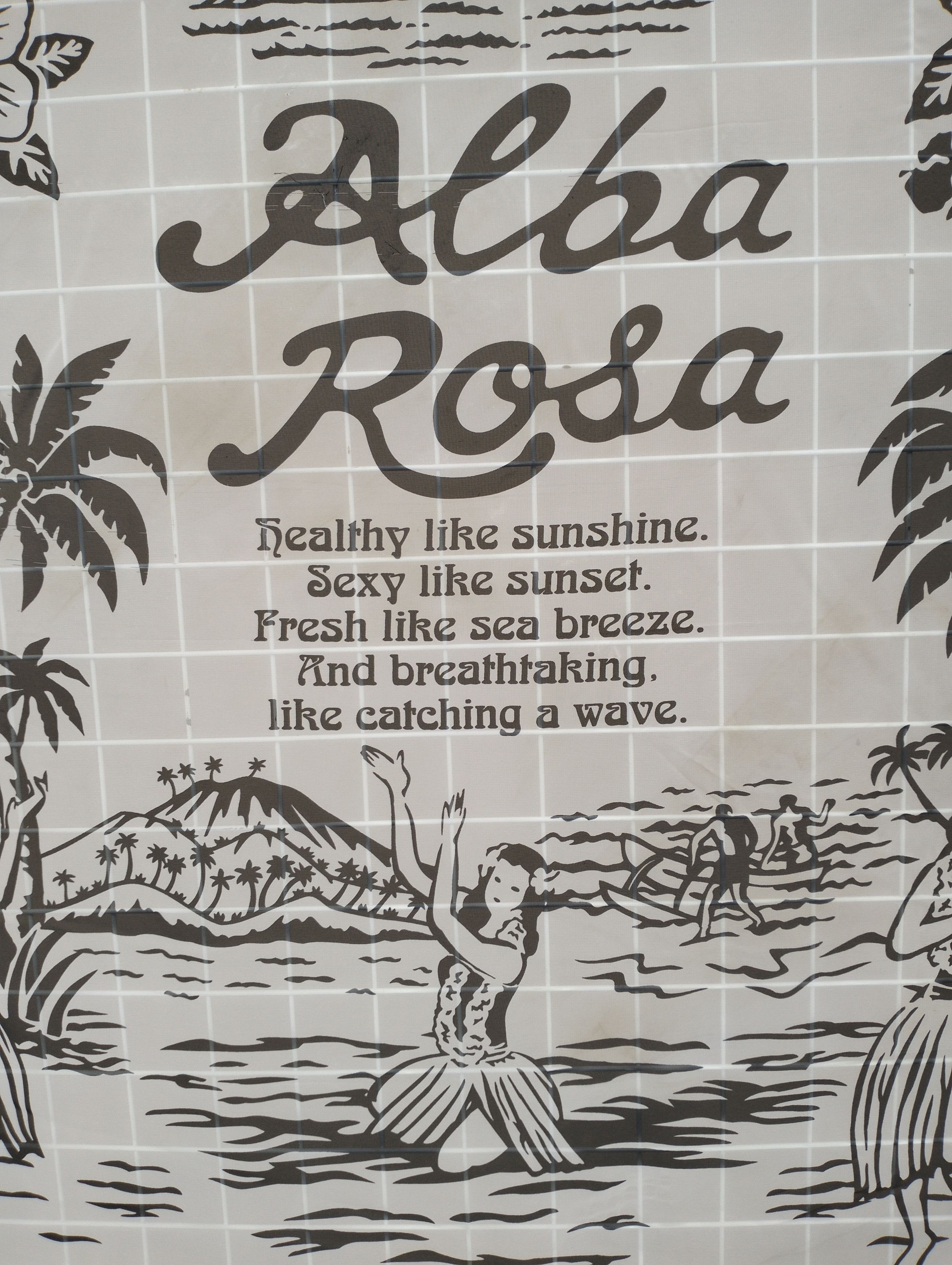 ALBA × Designer × Japanese Brand ALBA ROSA scaft Size ONE SIZE - 3 Thumbnail