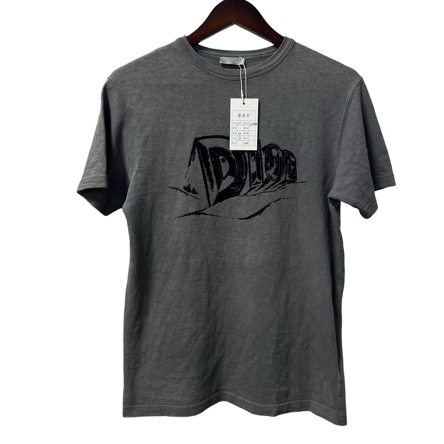 Dior Dior x Peter Doig Lion Embroidery T-Shirt Size XS | Grailed