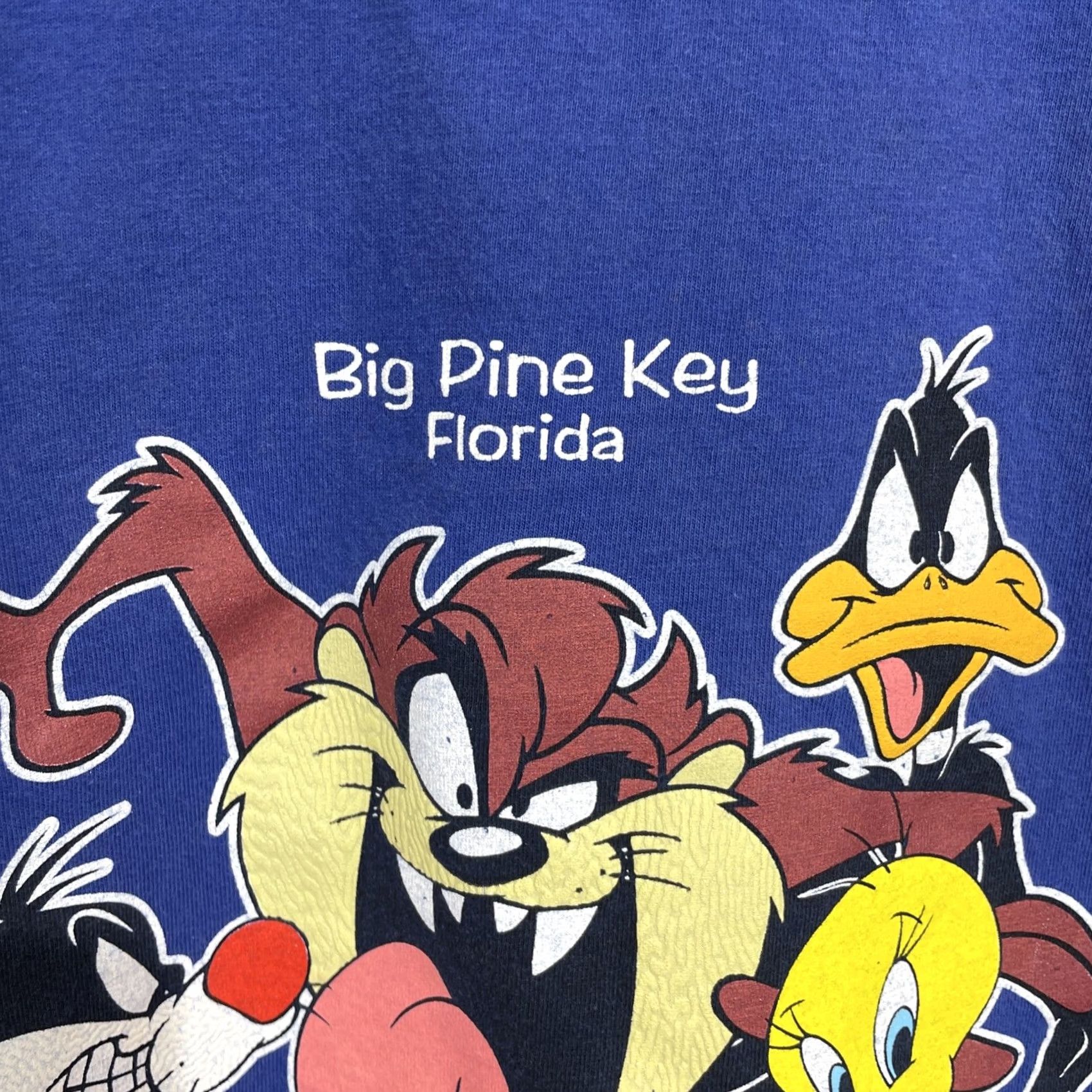 Vintage VINTAGE Looney Tunes T-Shirt Men XL Blue 90s Bugs Bunny Tweety Daffy Shirt Crew Neck Short Sleeve Cartoon Graphic Print Scene Florida LL Size US XL / EU 56 / 4 - 7 Thumbnail