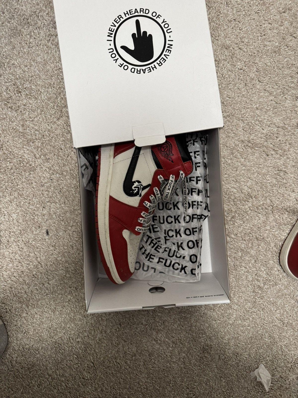 Other Custom Jordan 1 “Fuck Off 1s” size 11 Size US 11 / EU 44 - 6 Thumbnail
