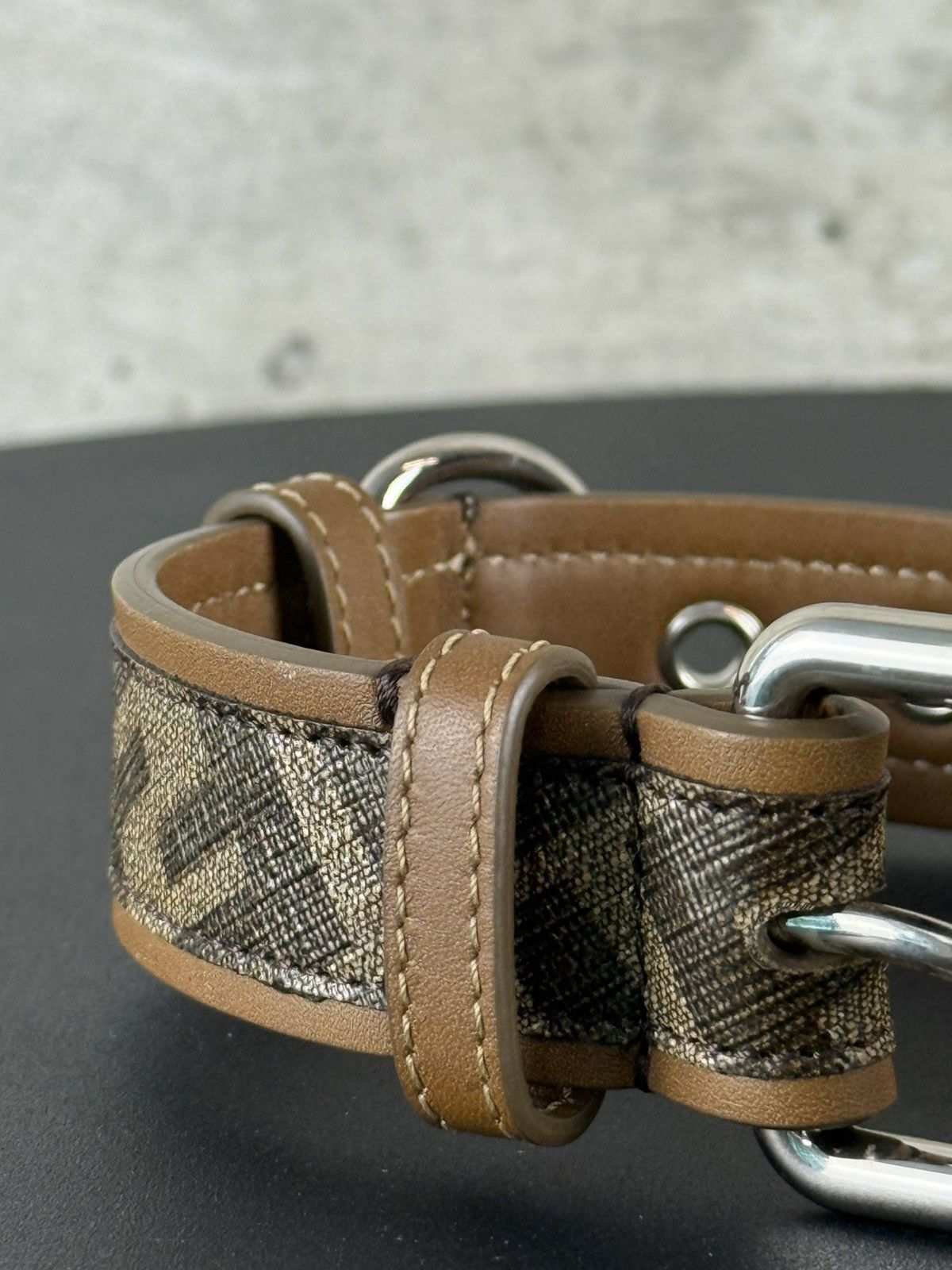 Fendi Dog Collar
