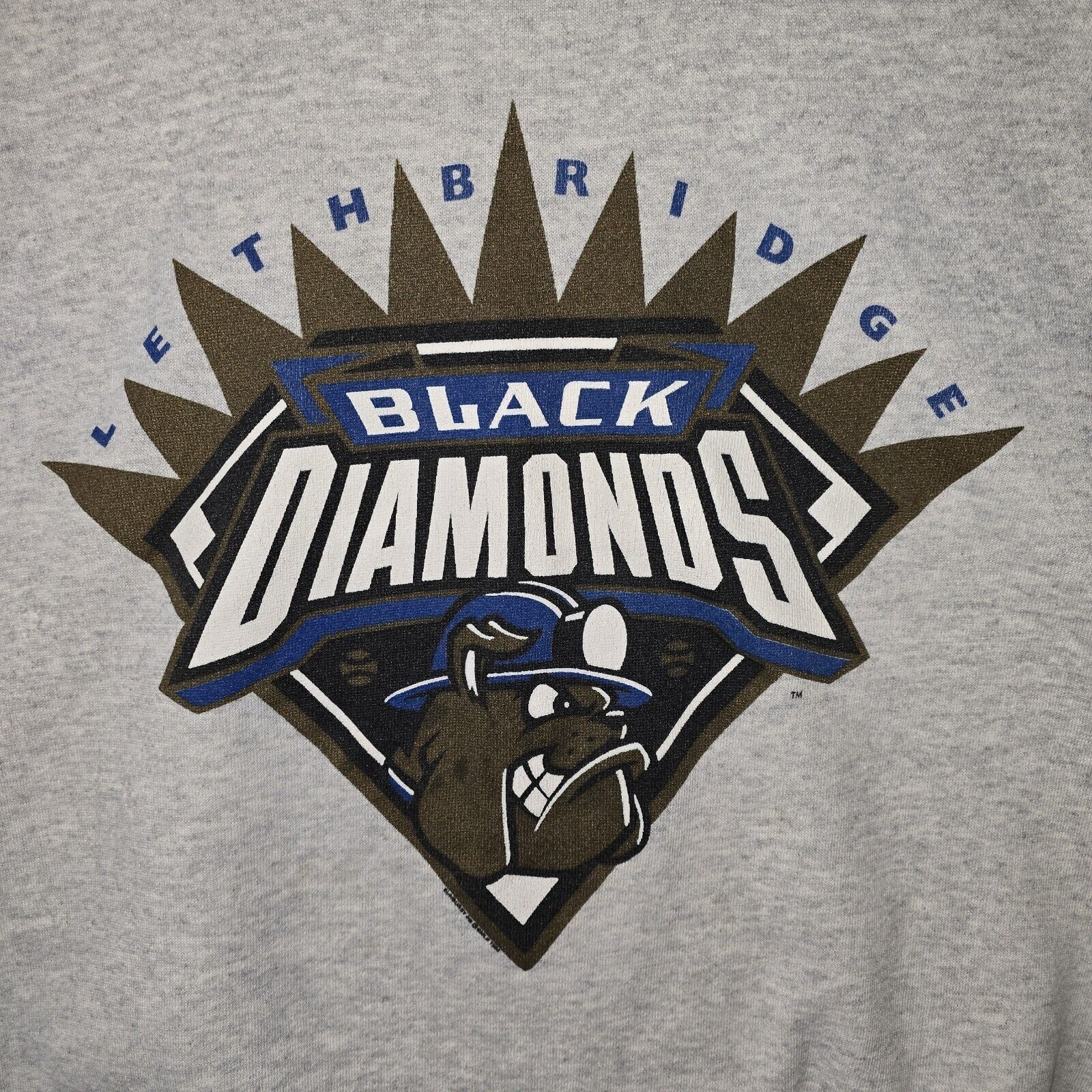 MLB Vintage 90s Lethbridge Black Diamonds Crewneck Medium MiLB Size US M / EU 48-50 / 2 - 3 Thumbnail