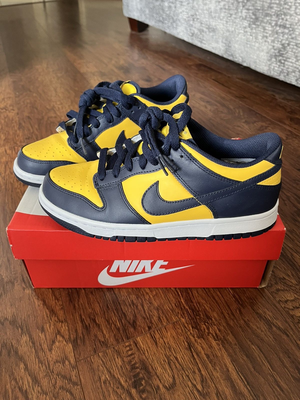Nike Dunk Low Michigan Youth 6