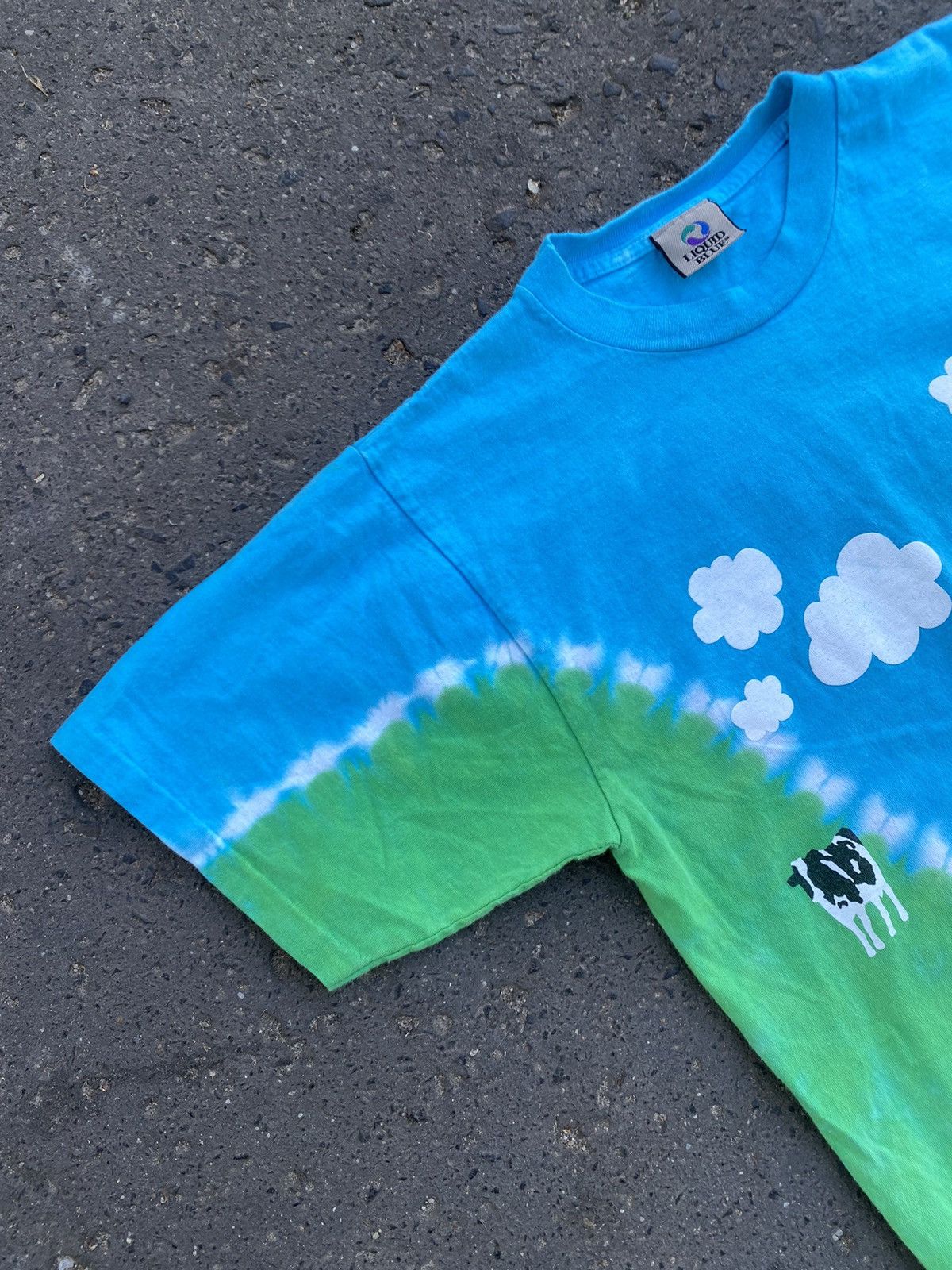 Liquid Blue Vintage Liquid Blue Ben&Jerry’s single stitch tee Size US M / EU 48-50 / 2 - 5 Thumbnail