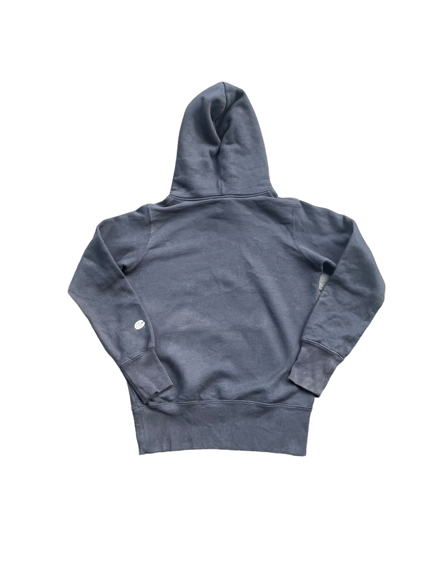 Champion Champion Alpha Delta Phi Faded Wash Hoodie Size US M / EU 48-50 / 2 - 5 Thumbnail