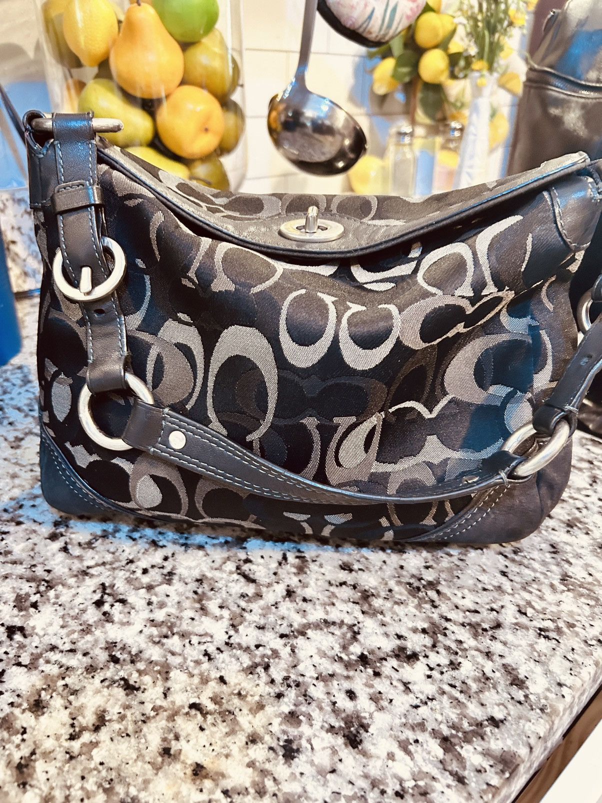 Coach vintage Y2K-era Coach Chelsea Optic Signature Shoulder Bag 