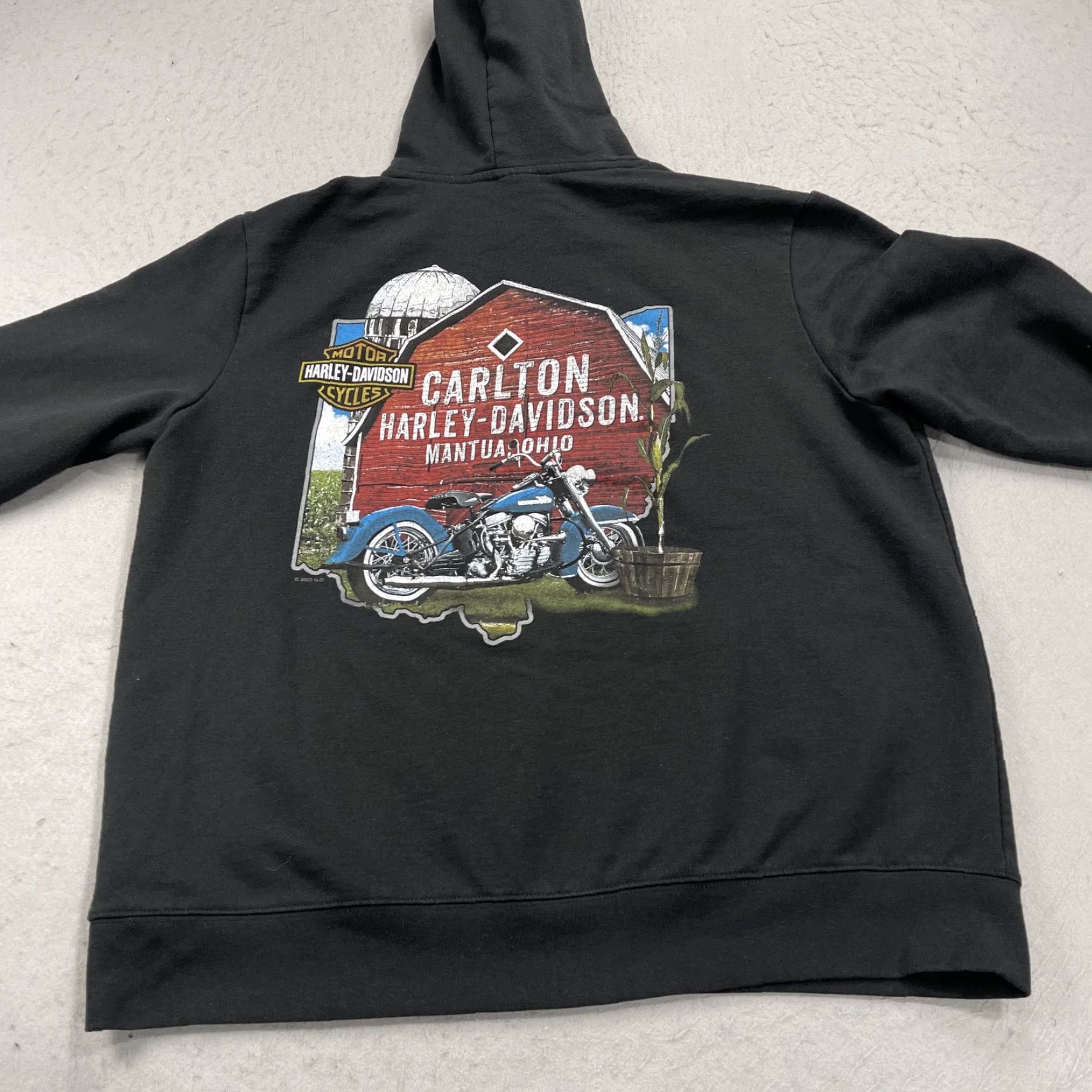 Harley Davidson Harley-Davidson Hoodie Mens XL Black Logo Sweatshirt Biker Motorcycle Ohio Graphic Print Cotton Blend Fleece Pullover Regular Man Size US XL / EU 56 / 4 - 5 Thumbnail