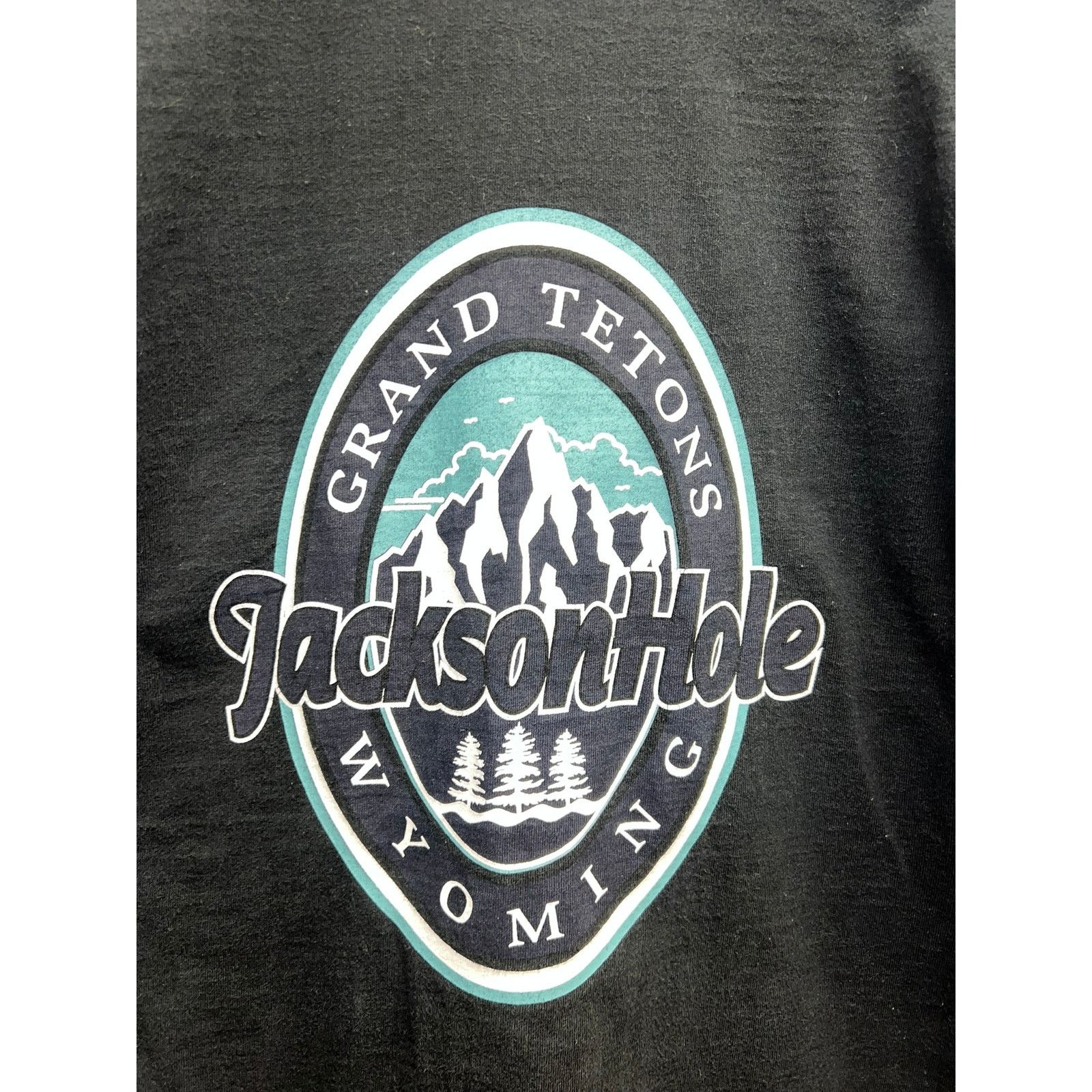 Fruit Of The Loom Vintage Jackson Hole Shirt Grand Tetons Wyoming Tee 90s VTG Size US L / EU 52-54 / 3 - 6 Thumbnail
