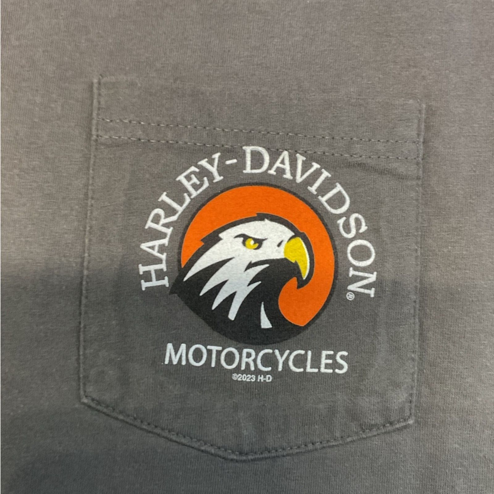 Harley Davidson Harley-Davidson Chimney Rock Gray Graphic T-Shirt Size US XXL / EU 58 / 5 - 5 Thumbnail