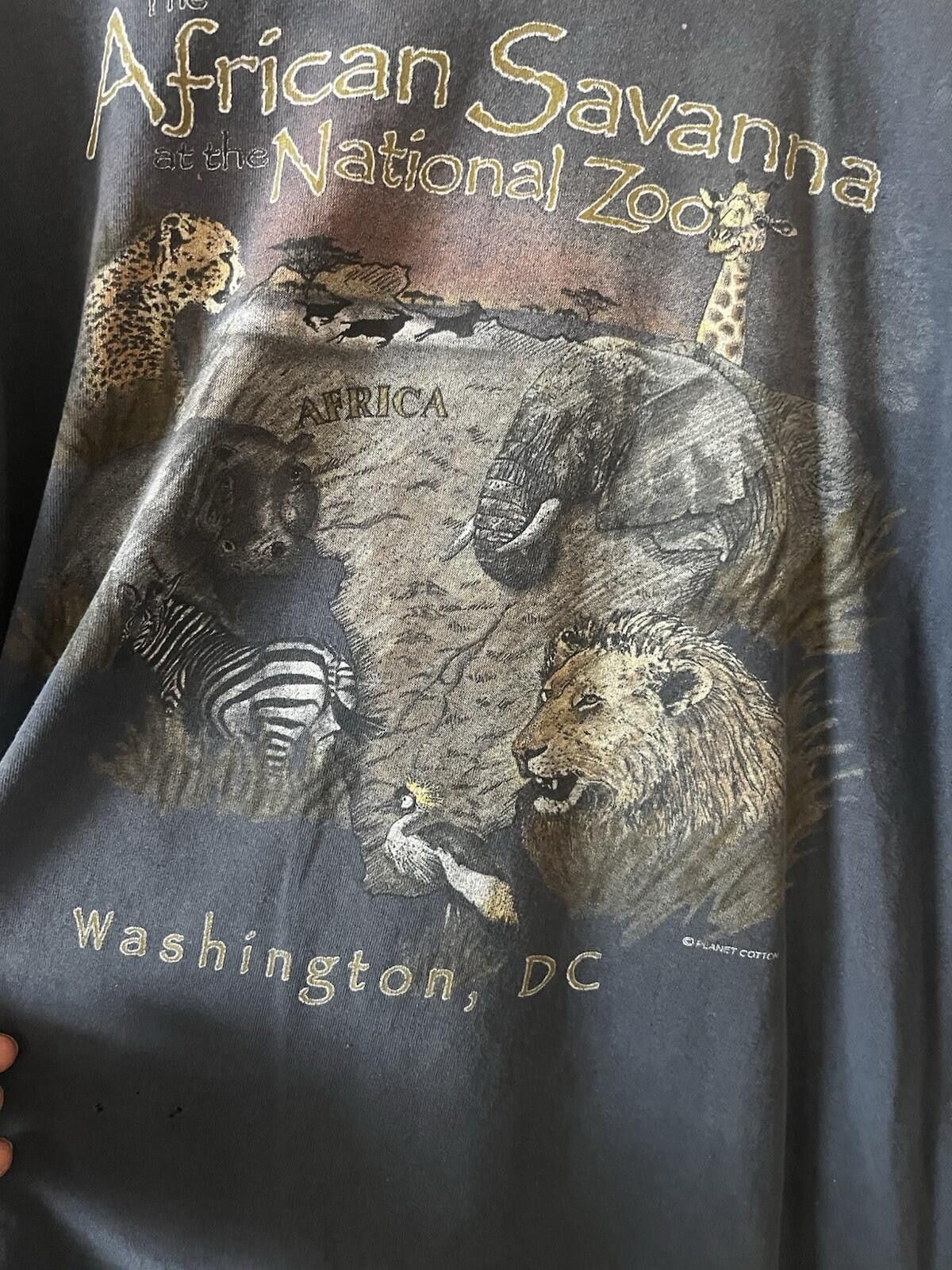 Gildan VTG African Savanna National Zoo Washington DC Tee Gray L Size US L / EU 52-54 / 3 - 3 Thumbnail