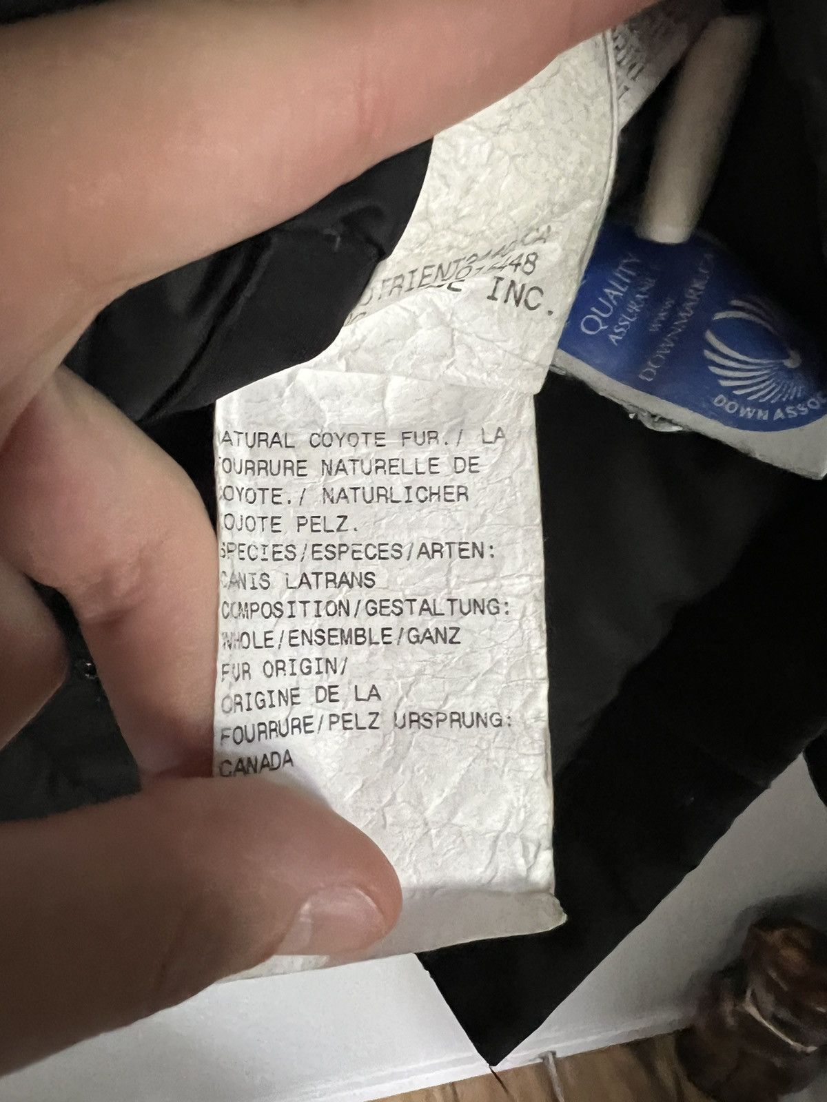 Canada Goose Canada Goose Victoria Parka Winter Jacket Size XS / US 0-2 / IT 36-38 - 9 Thumbnail