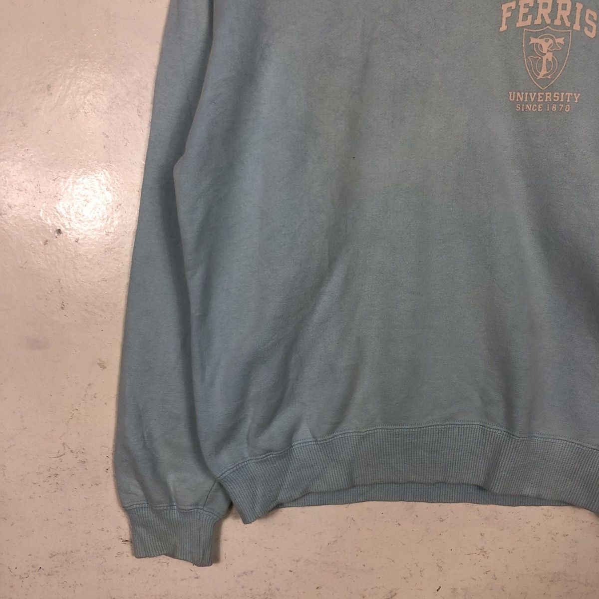 Vintage 📌Vintage Sweatshirt Ferris University Since 1870 Big Logo Size US M / EU 48-50 / 2 - 6 Thumbnail