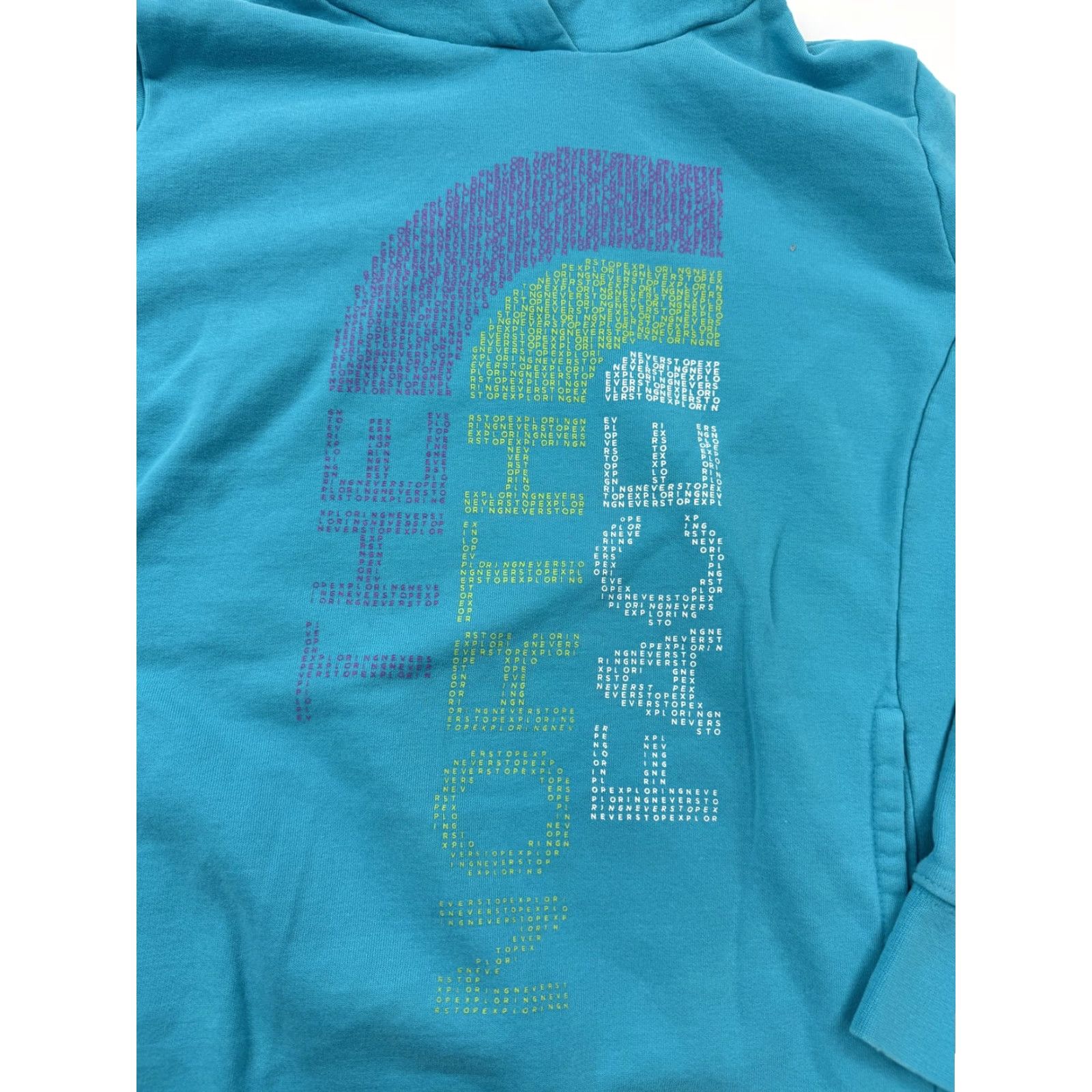 The North Face The North Face Hoodie Womens Large Blue Pullover Fleece Vertical Logo Graphic Size L / US 10 / IT 46 - 3 Thumbnail