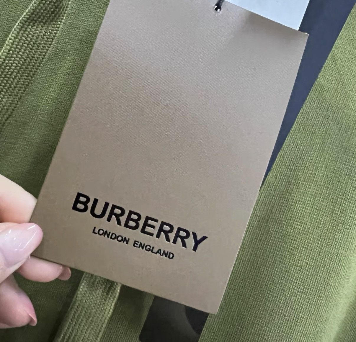 Burberry Burberry Logo Embroidered Hoodie at Neckline J41 Size US L / EU 52-54 / 3 - 5 Thumbnail