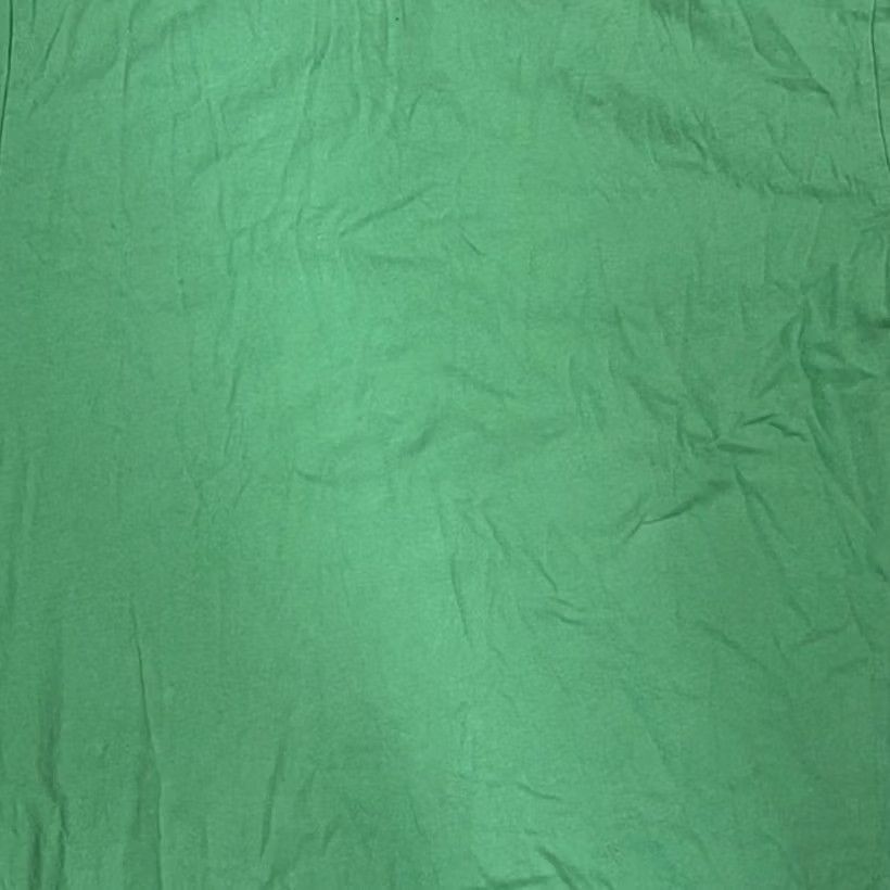 Patagonia Patagonia Polo Shirt Mens Size M Green Organic Cotton Short Sleeve Fish Logo Size US M / EU 48-50 / 2 - 4 Thumbnail