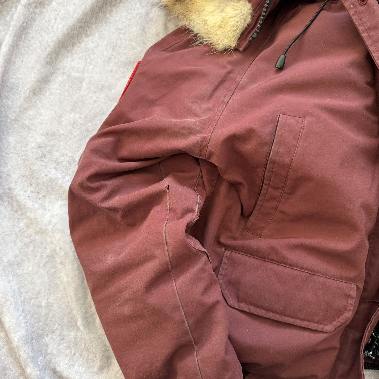 Canada Goose Canada Goose Chilliwack Burgundy Size S Size S / US 4 / IT 40 - 19 Thumbnail