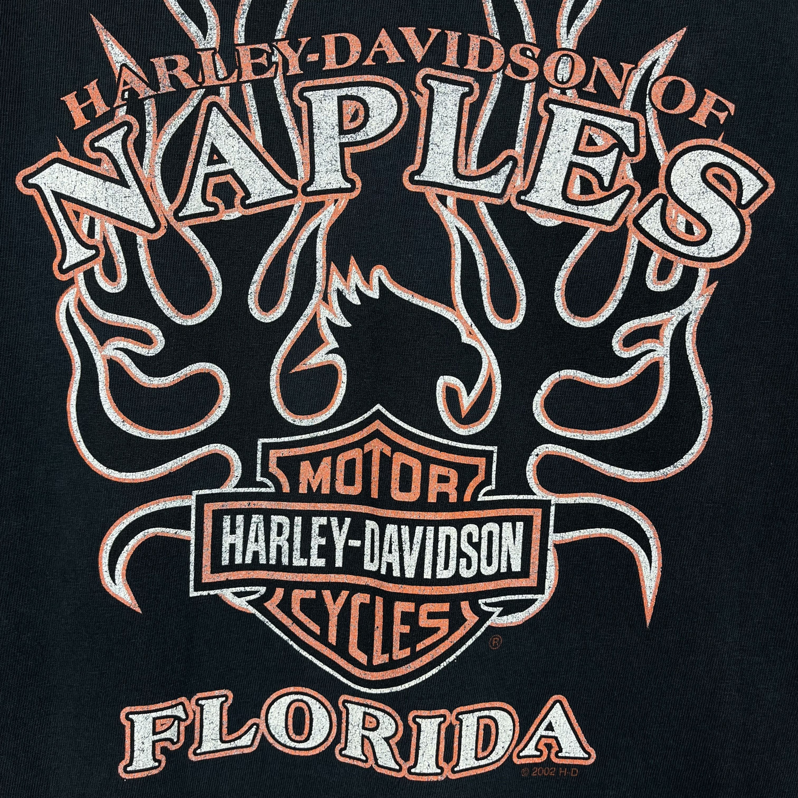 Harley Davidson Vintage Harley Davidson Flame Skull Florida T Shirt 2002 Size US L / EU 52-54 / 3 - 20 Thumbnail