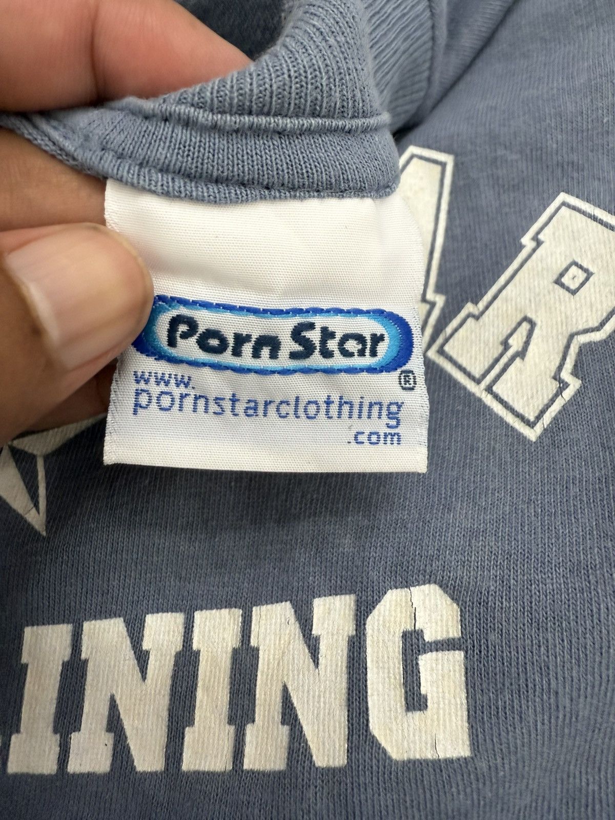Vintage PORN STAR Brand In Training 2000s Y2K Skate Tee