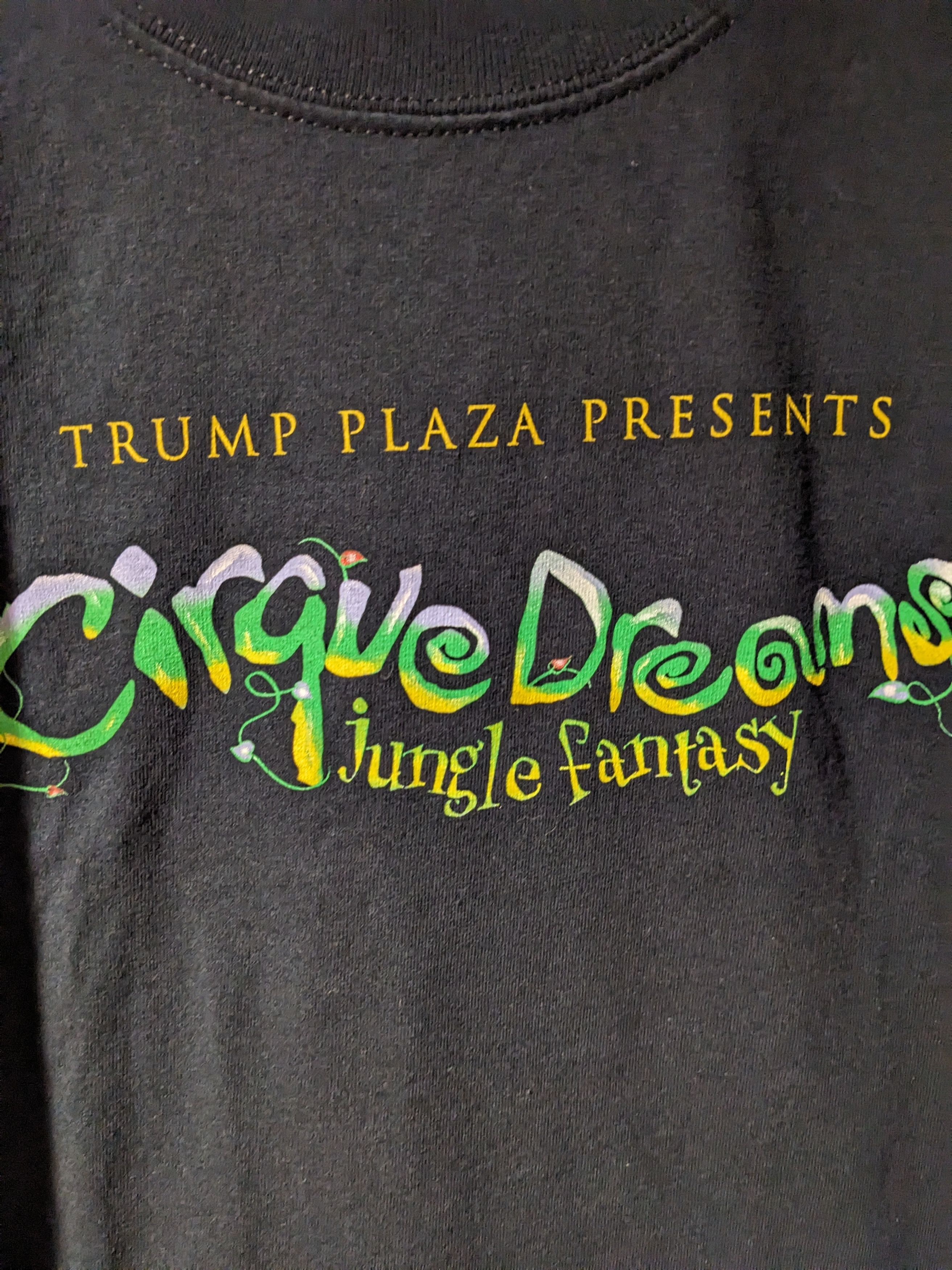 Band Tees × Vintage Vintage Y2K Trump Plaza Presents Cirque Dreams T-Shirt Size US XL / EU 56 / 4 - 2 Thumbnail