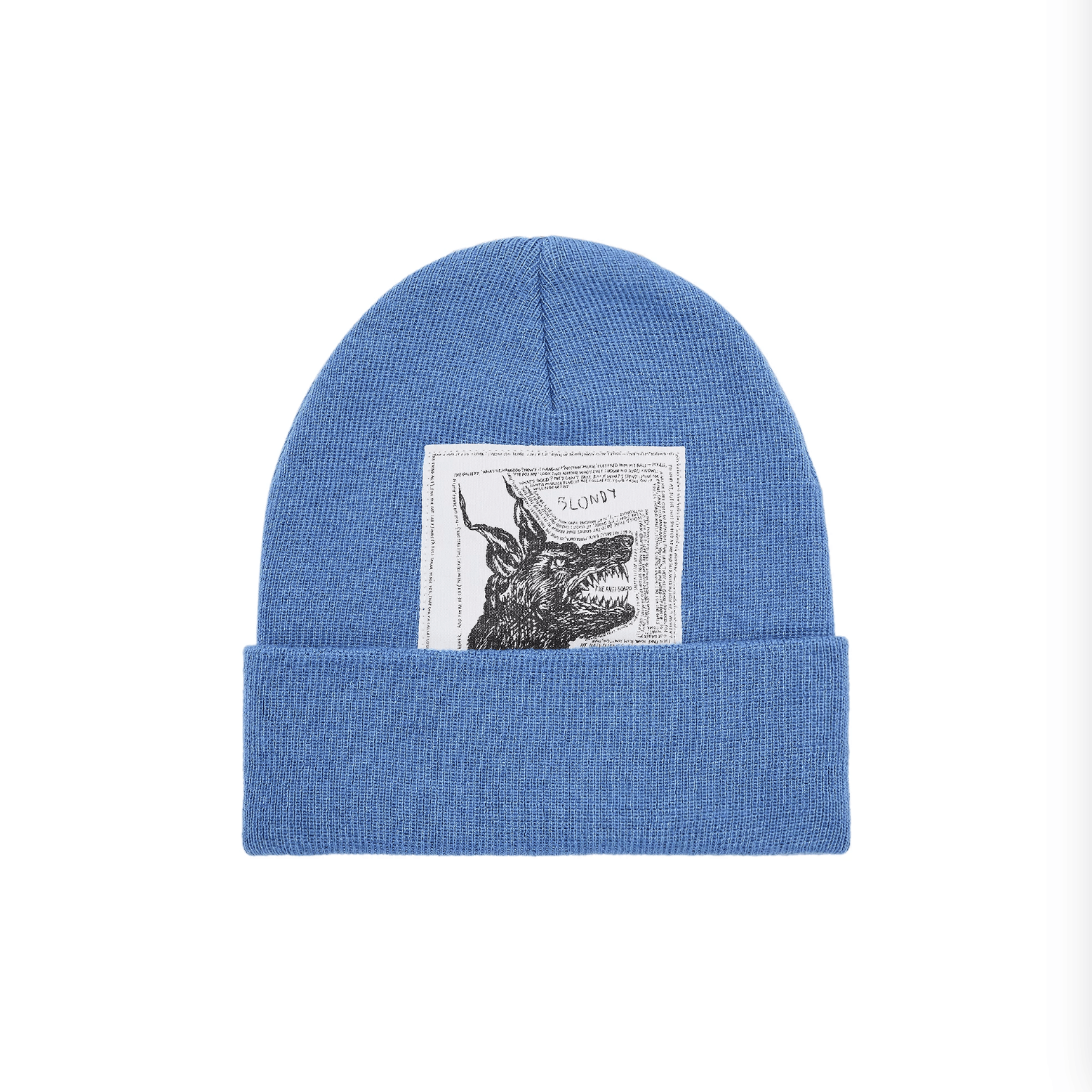 Supreme North Face Beanie | Grailed
