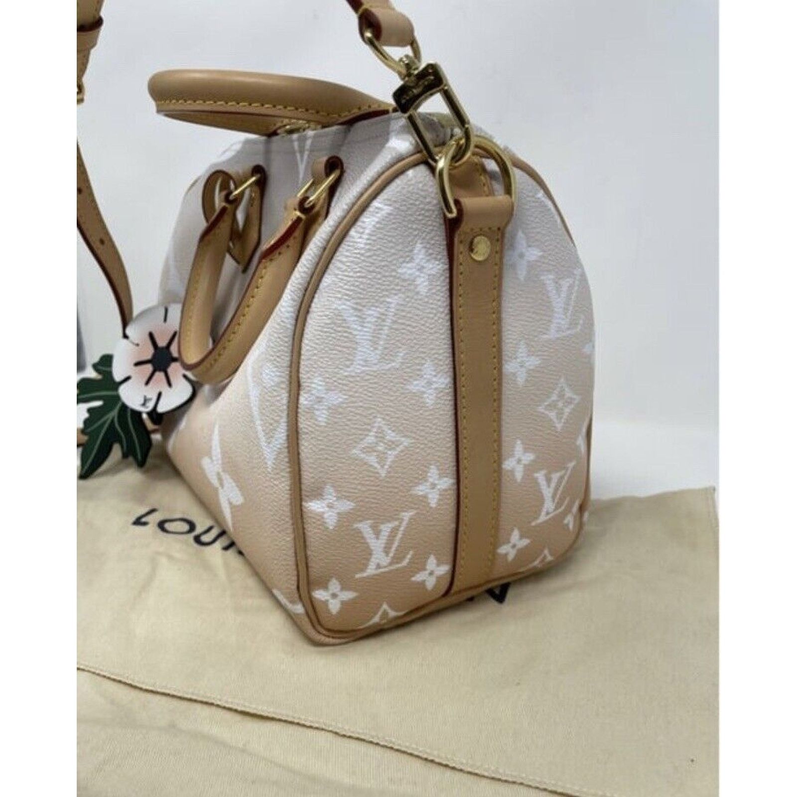 Louis Vuitton Louis Vuitton Speedy 25 Bandouliere Summer By The Pool Mist Size ONE SIZE - 5 Thumbnail