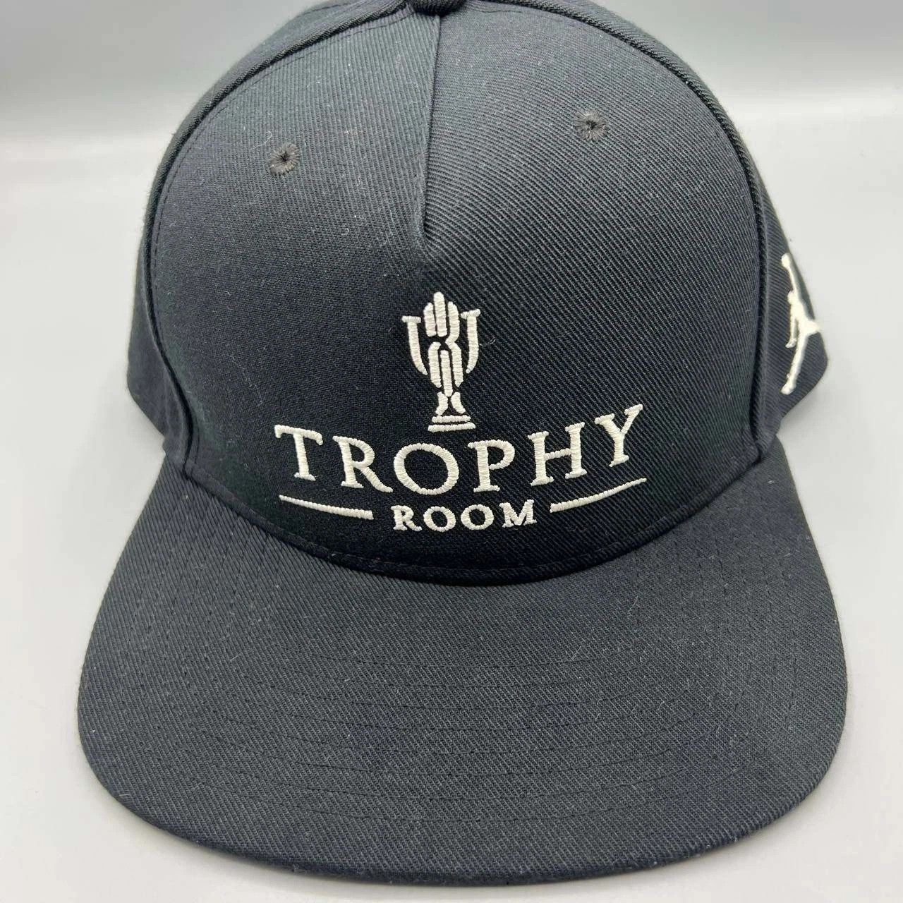 Air Jordan Hat Men Trophy Room Script Embroidered Snap Back